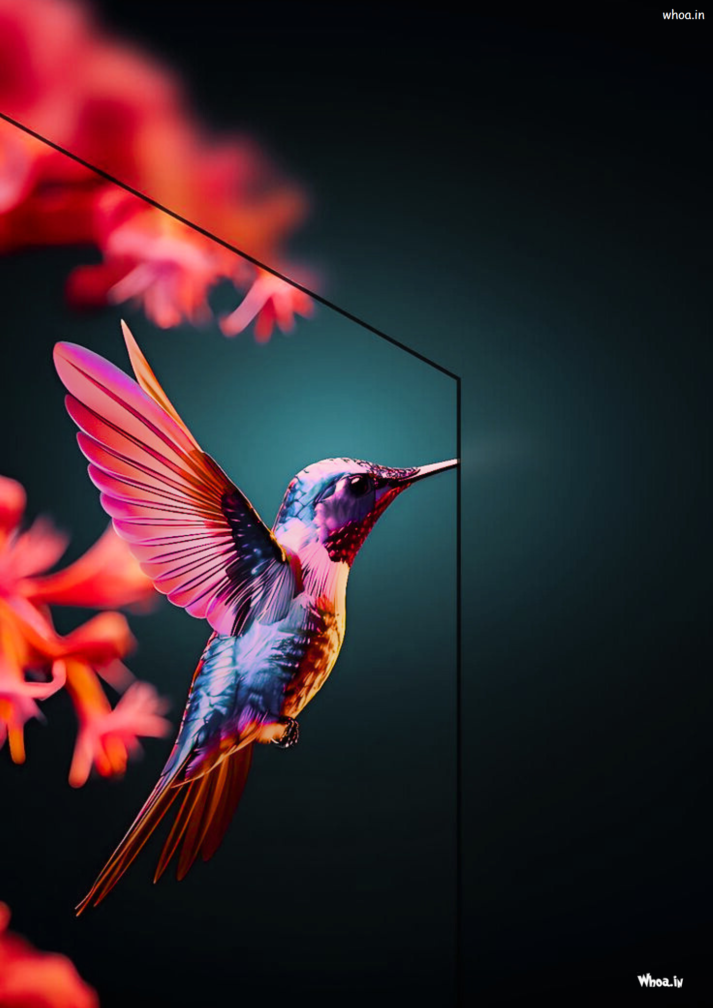 Nature Image Nature Photo Nature Wallpaper Beautiful Nature