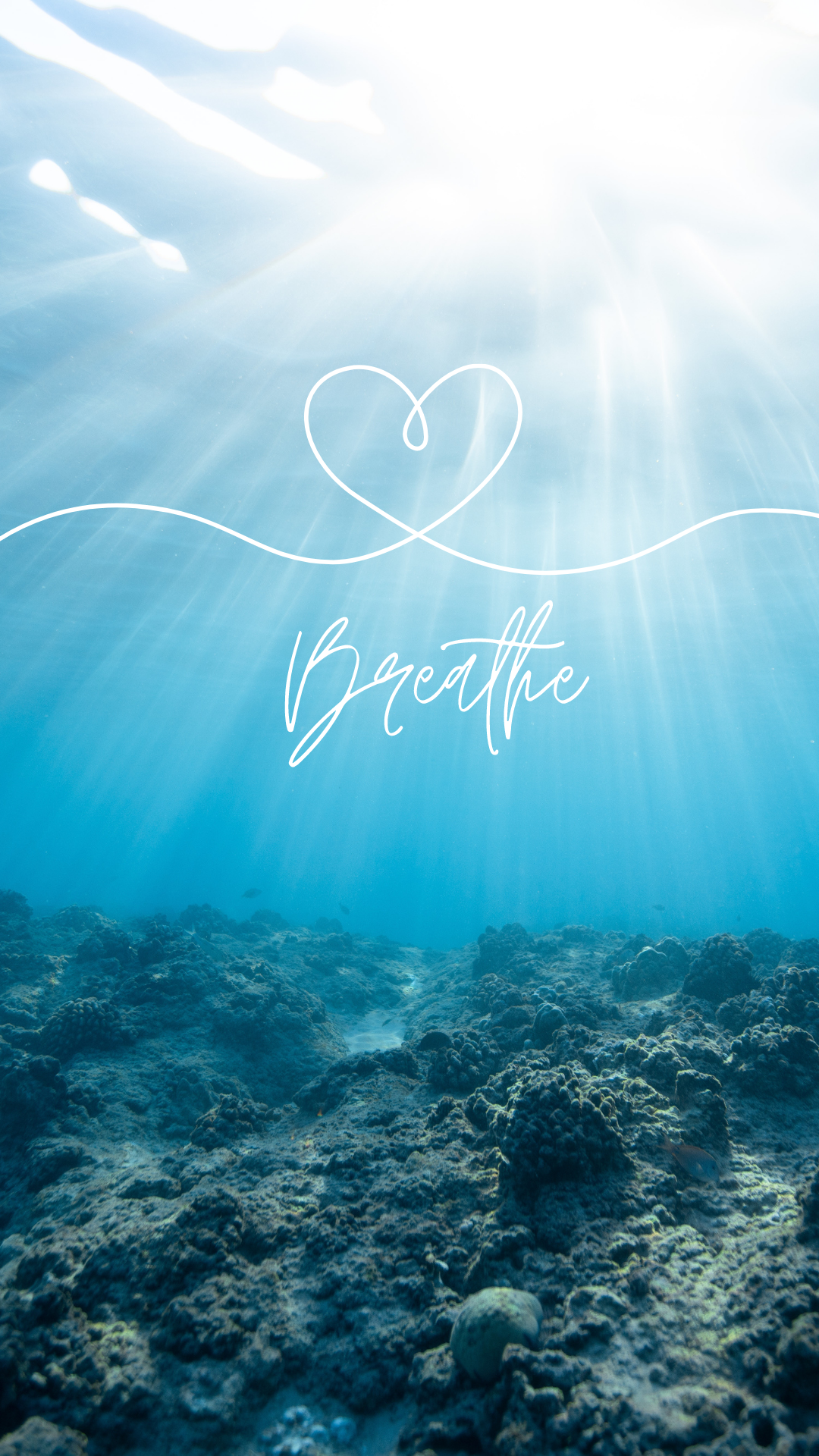 The Best Nature 4K Wallpaper for your iPhone