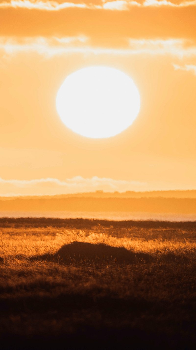 Rising Sun Image Wallpaper