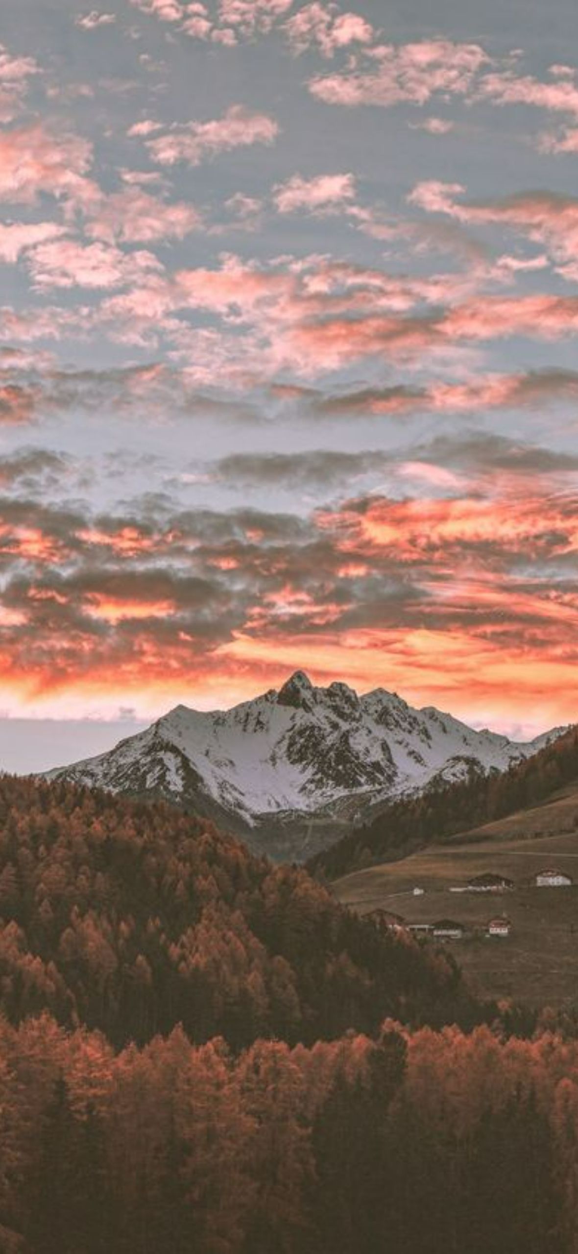 Aesthetic Nature Wallpaper, HD Aesthetic Nature Background on WallpaperBat