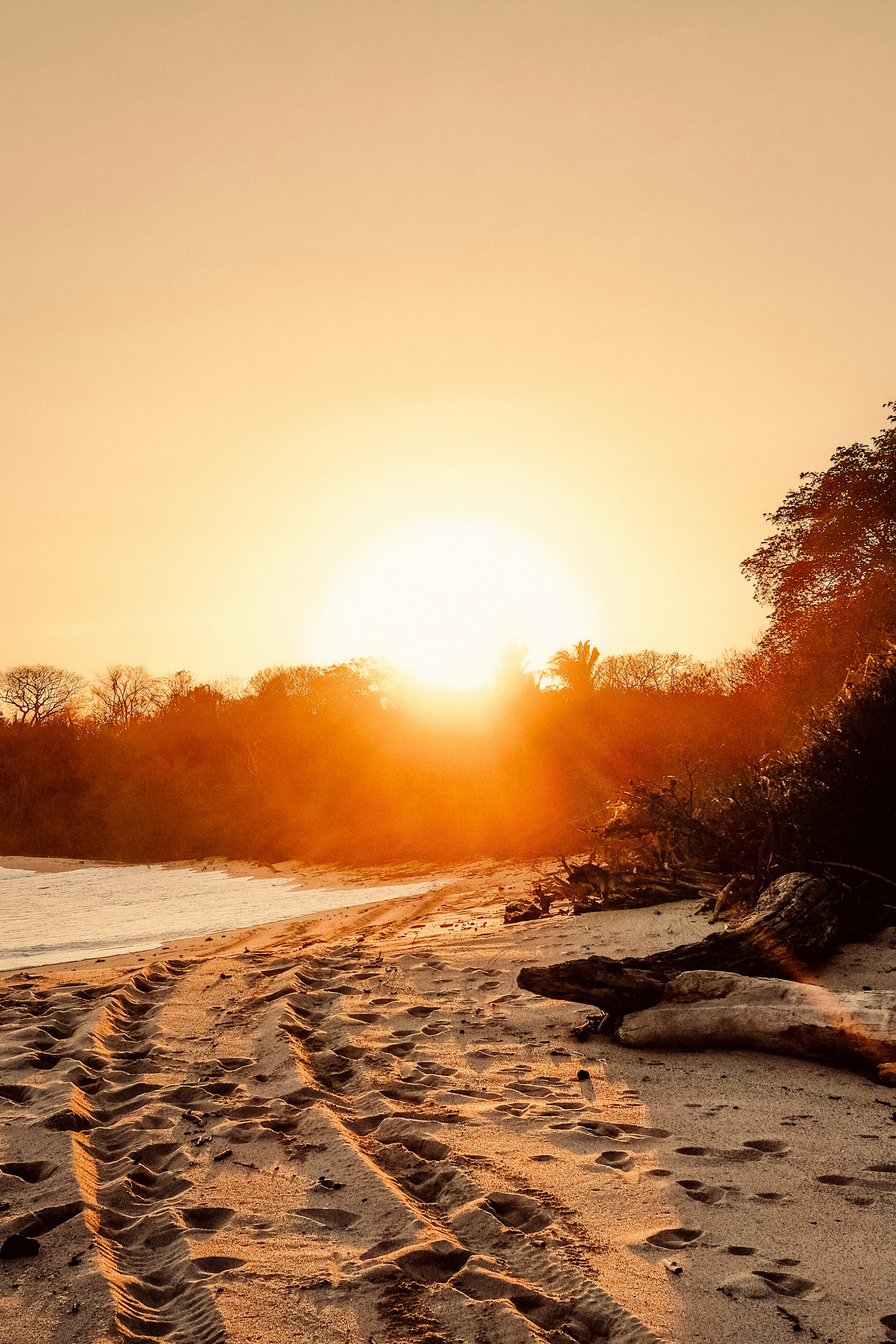 The sun is setting over a beach with tracks in the sand photo