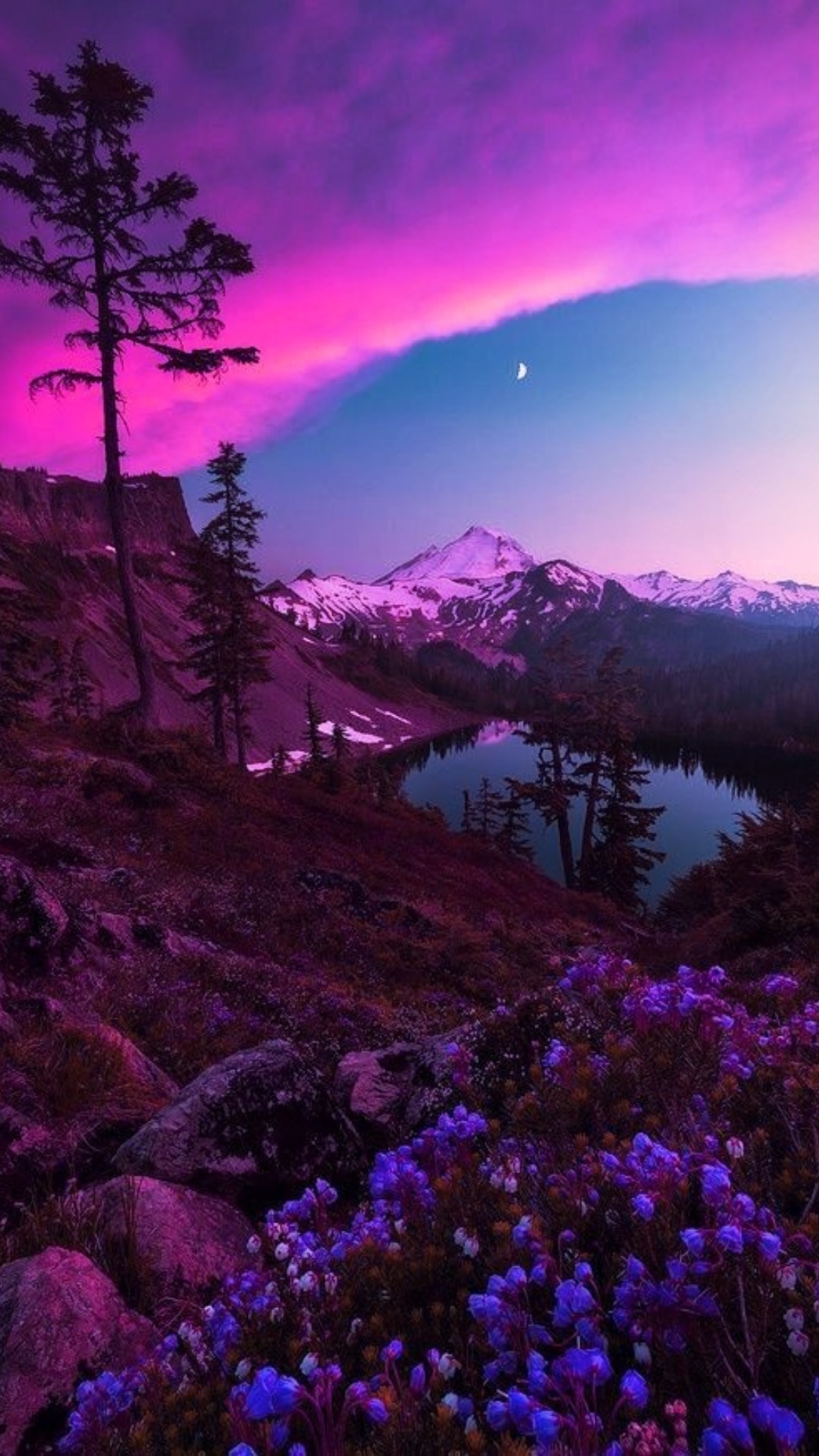 Aesthetic Nature Wallpaper Aesthetic Nature Wallpaper Download