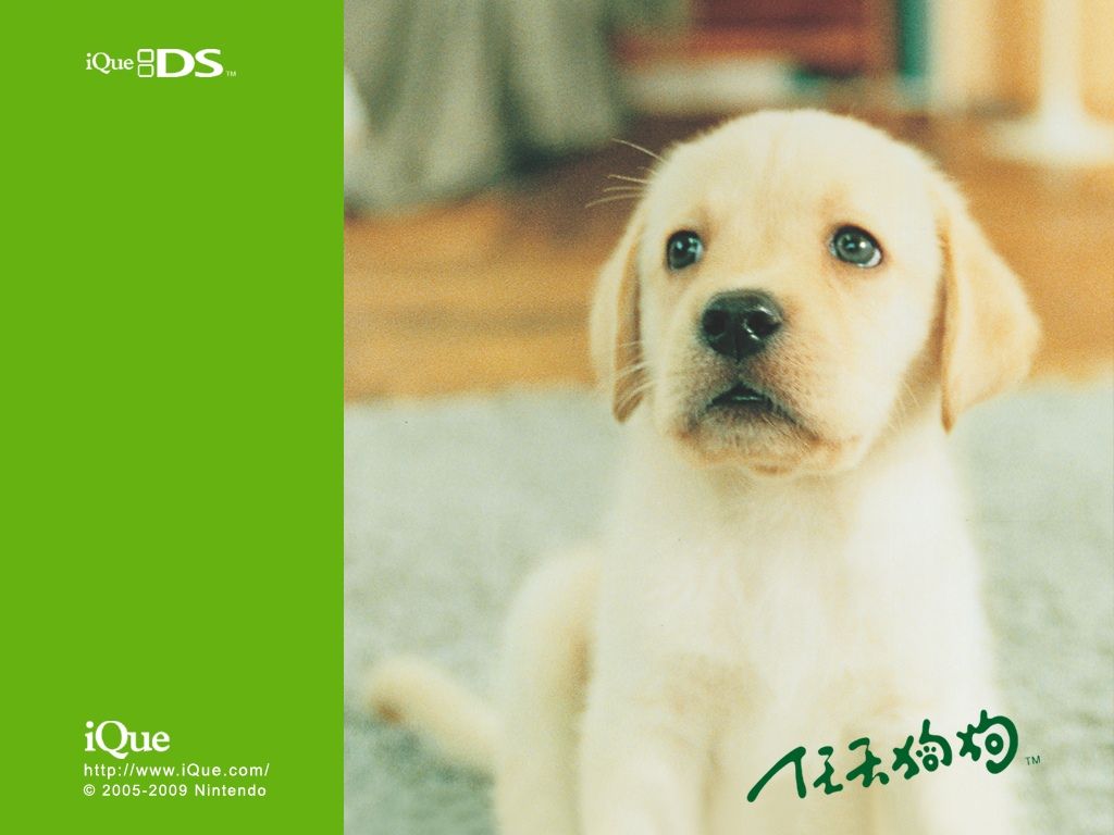 Nintendogs: Lab & Friends official promotional image