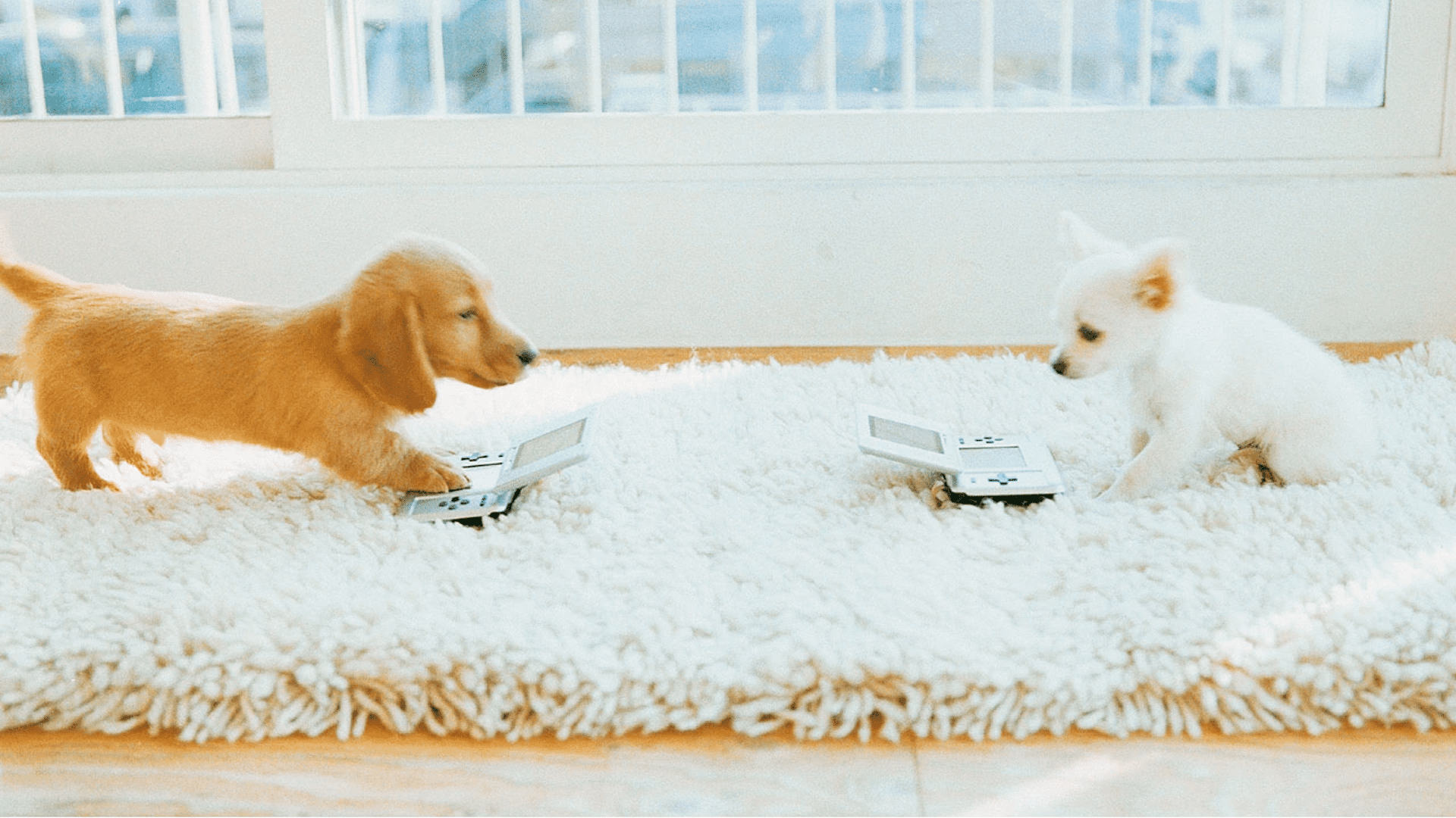 New Patent Suggets Nintendogs Could Have A Comeback