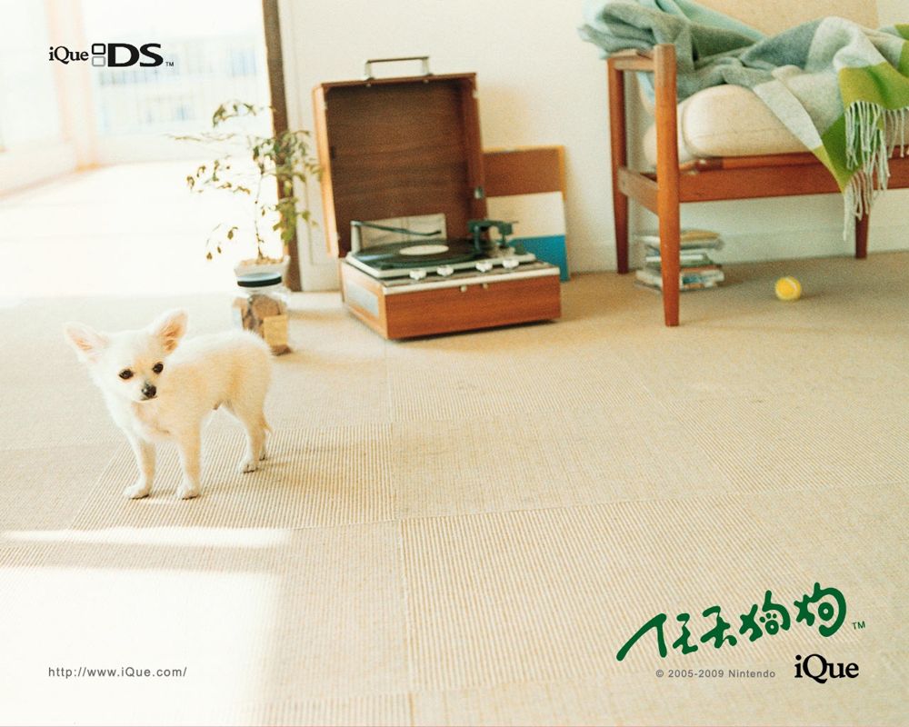 Nintendogs: Lab & Friends official promotional image
