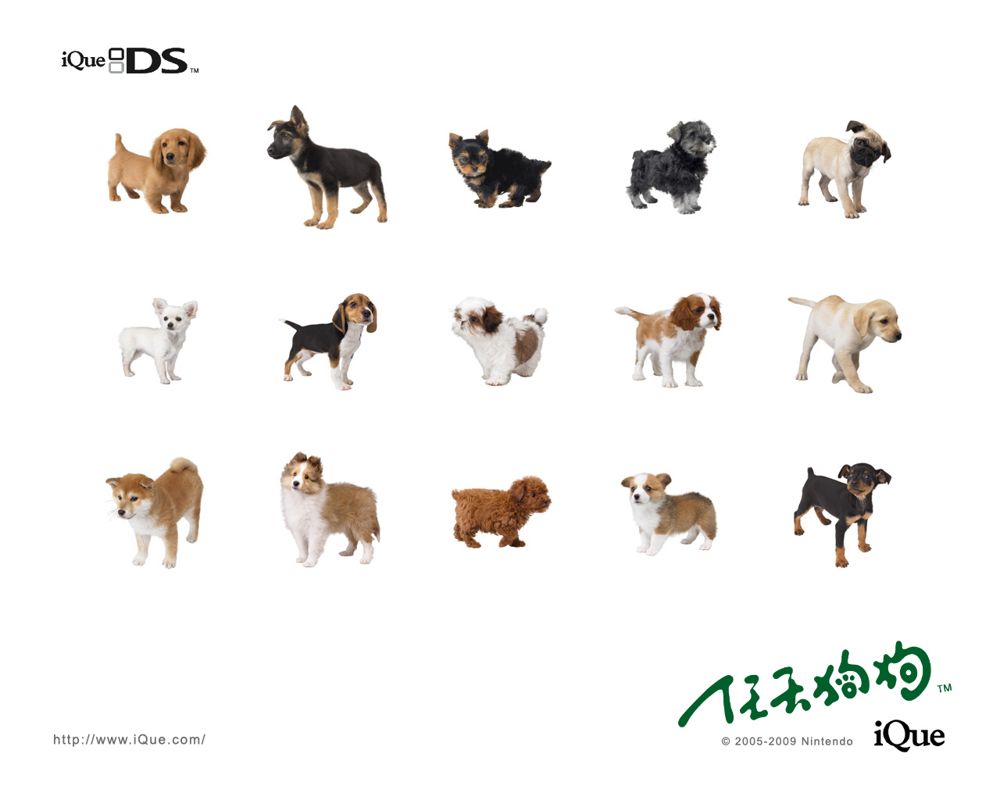 Nintendogs: Lab & Friends official promotional image