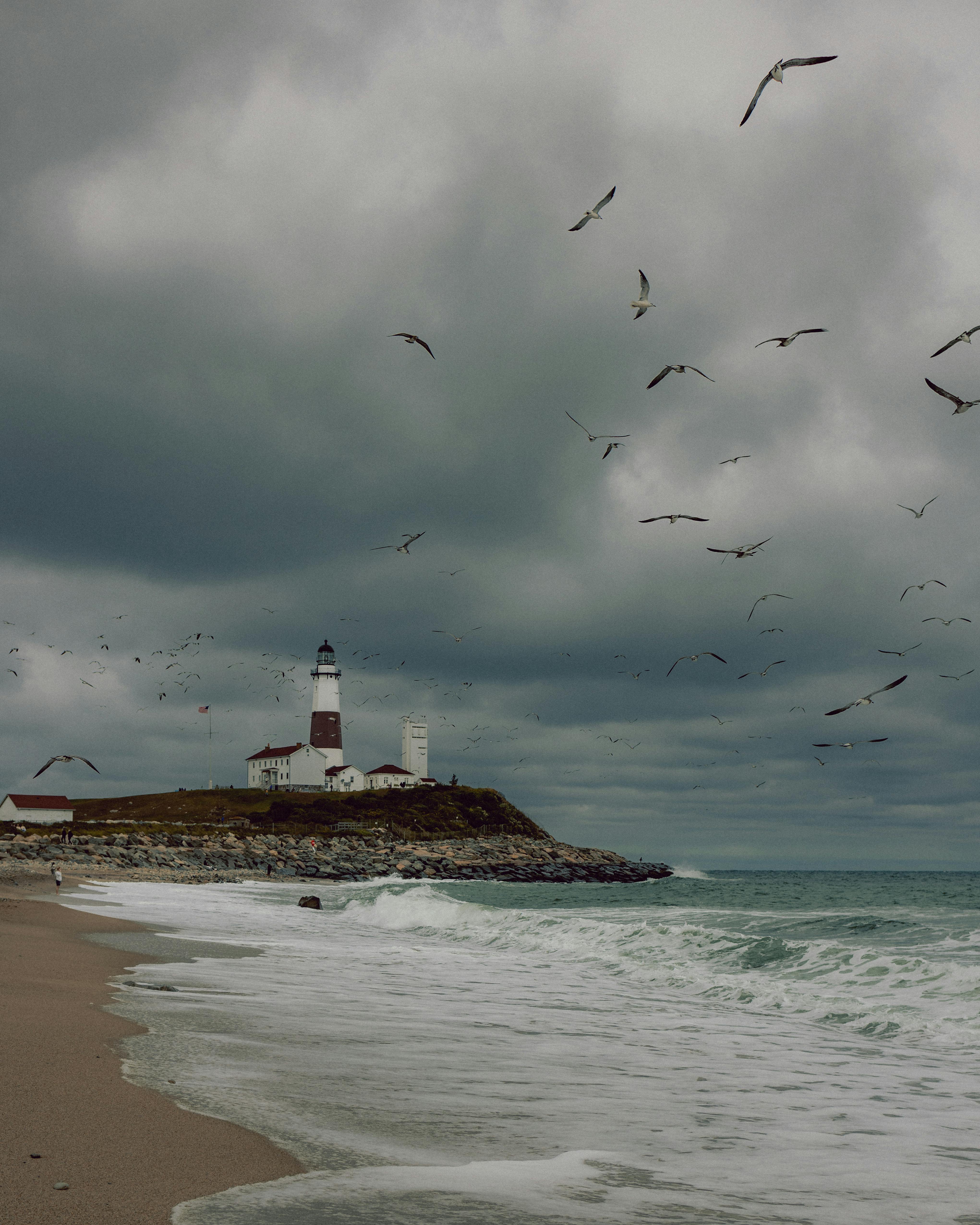 Montauk Photo, Download The BEST Free Montauk & HD Image