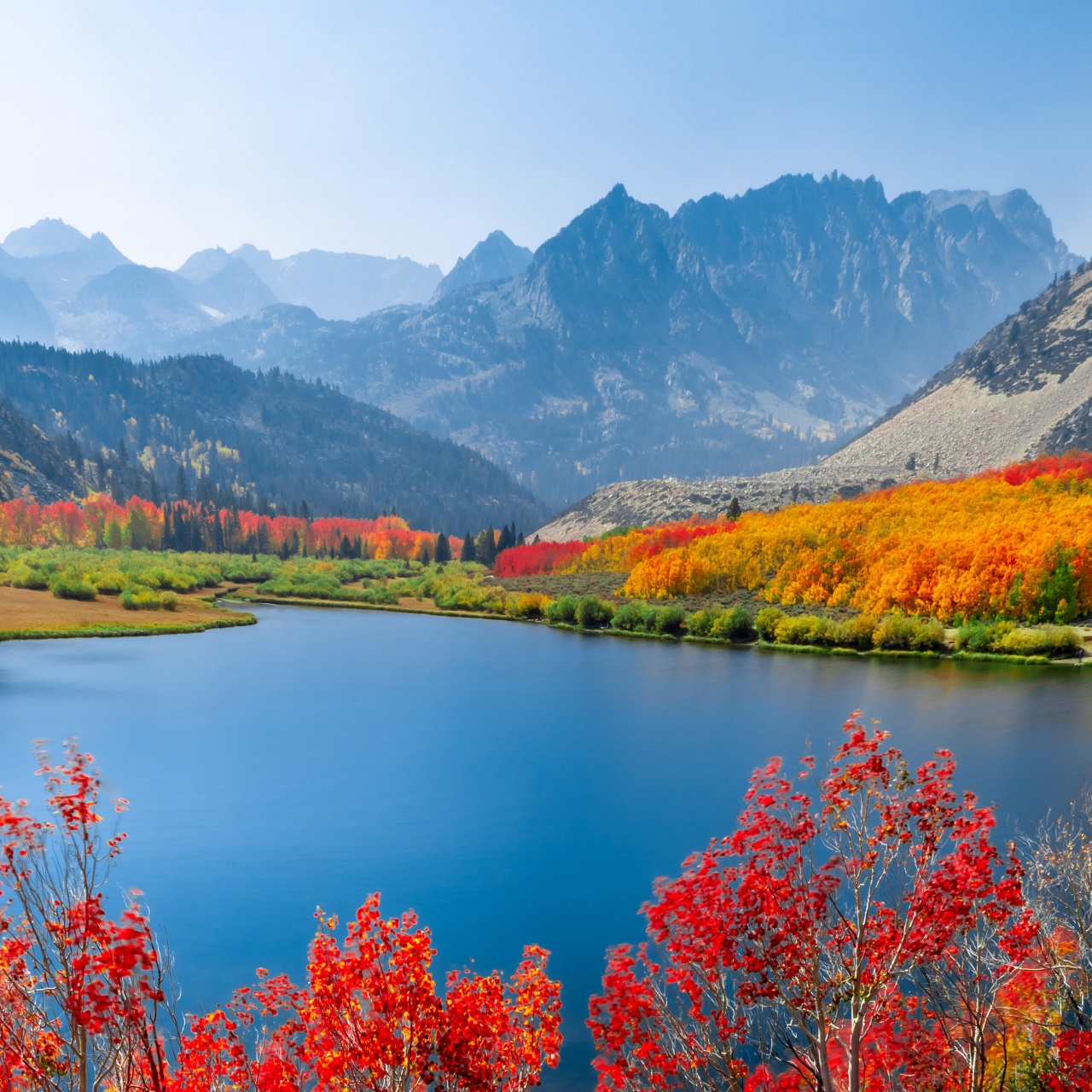 Autumn trees Wallpaper 4K, Lake, Mountain range, Daytime