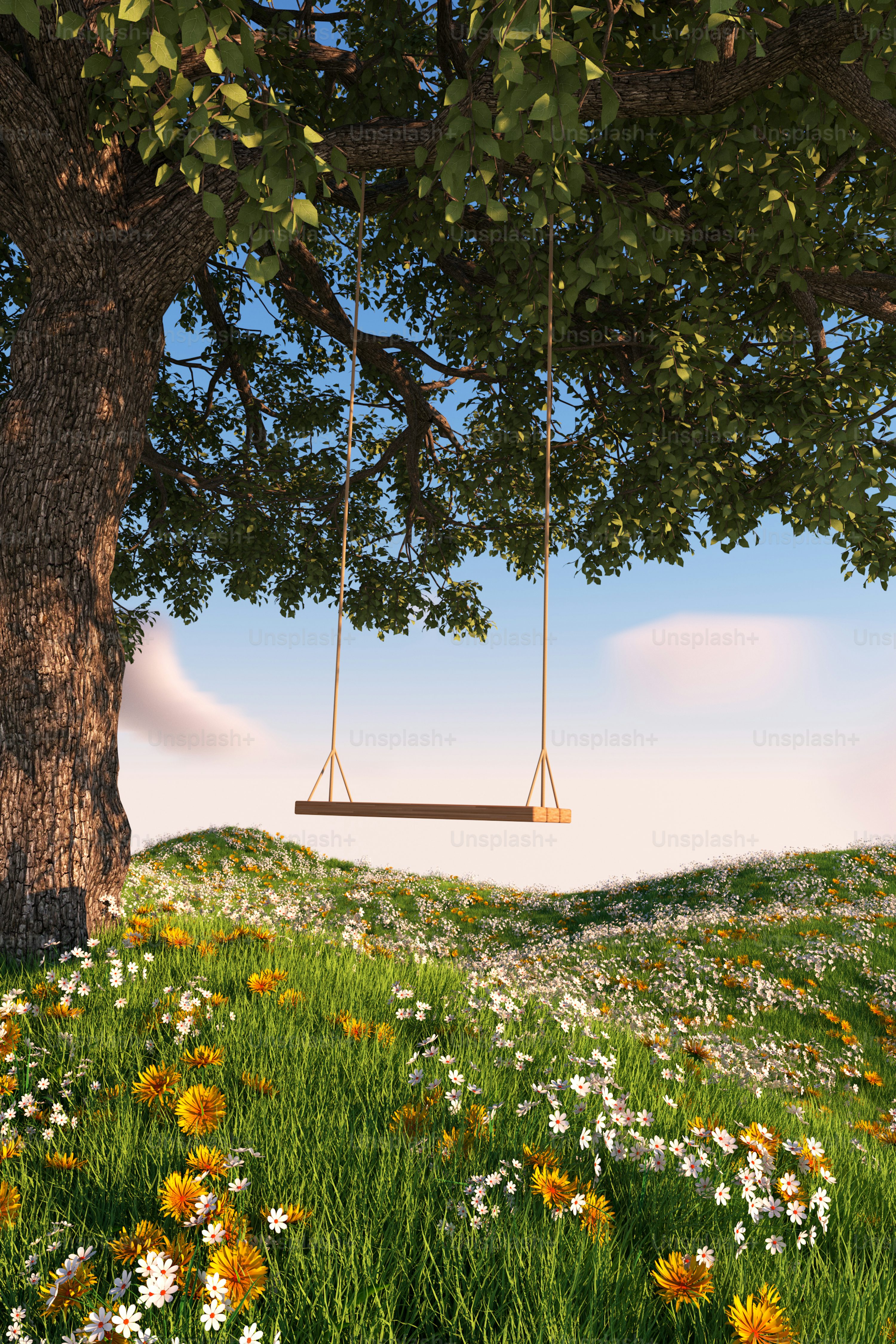 Grass Picture. Download Free Image