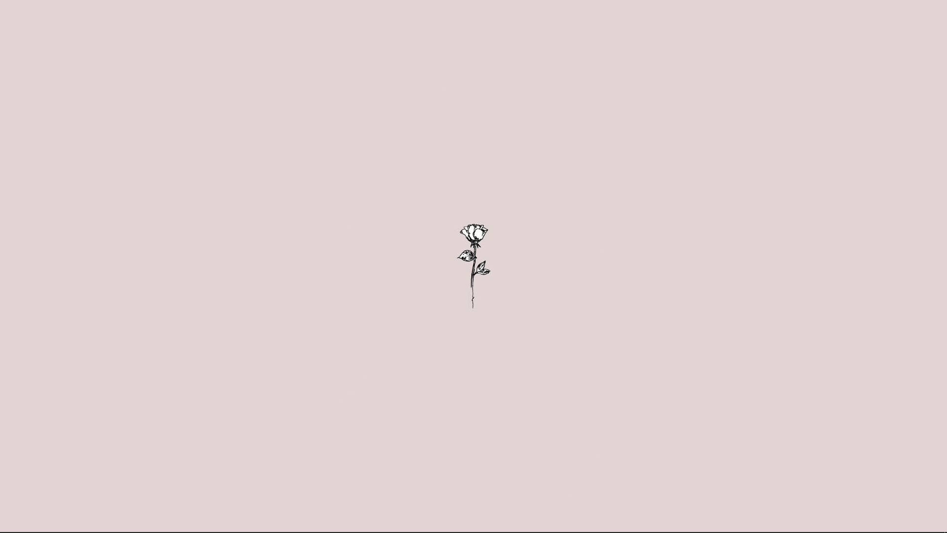 Download Cute Simple Aesthetic Sketch Rose Desktop Wallpaper