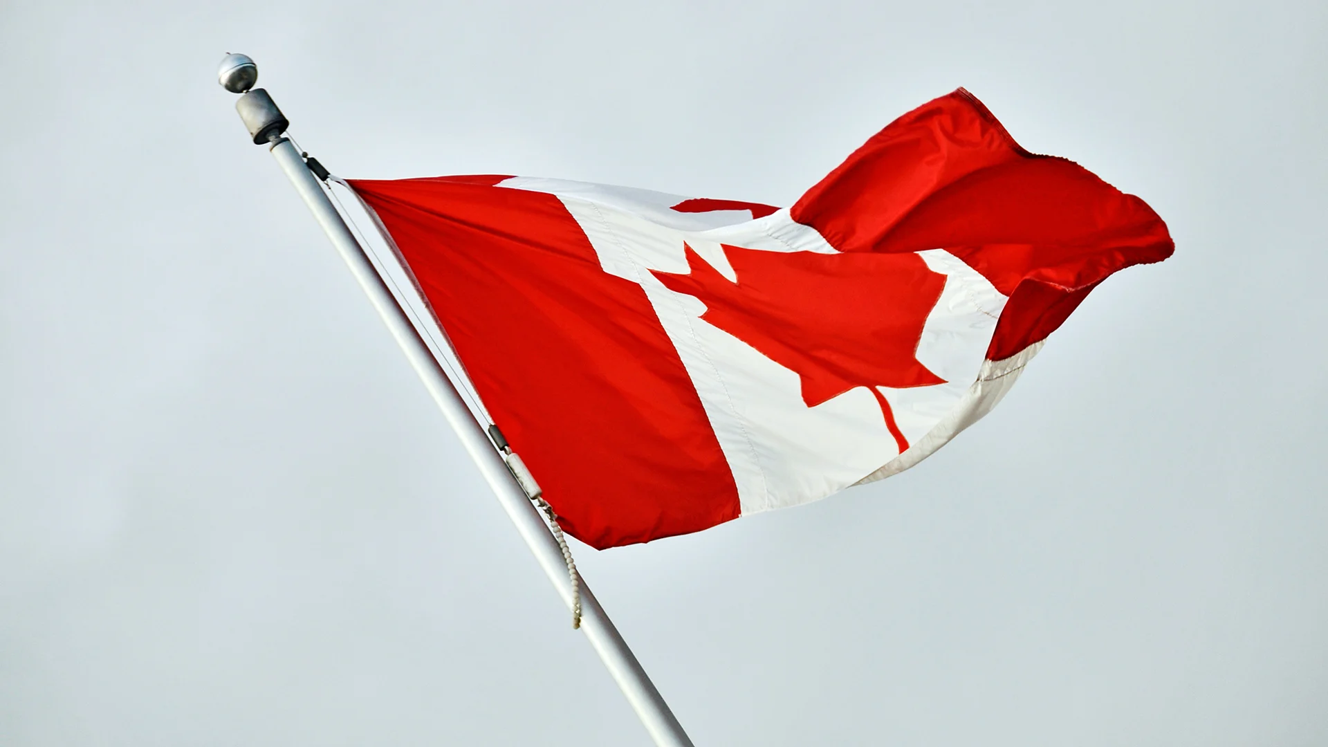 How A Bad Logo Moved Canada's Creative Community To Action