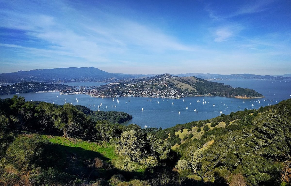 Angel Island State Park You Need to Know BEFORE You Go (with Reviews)