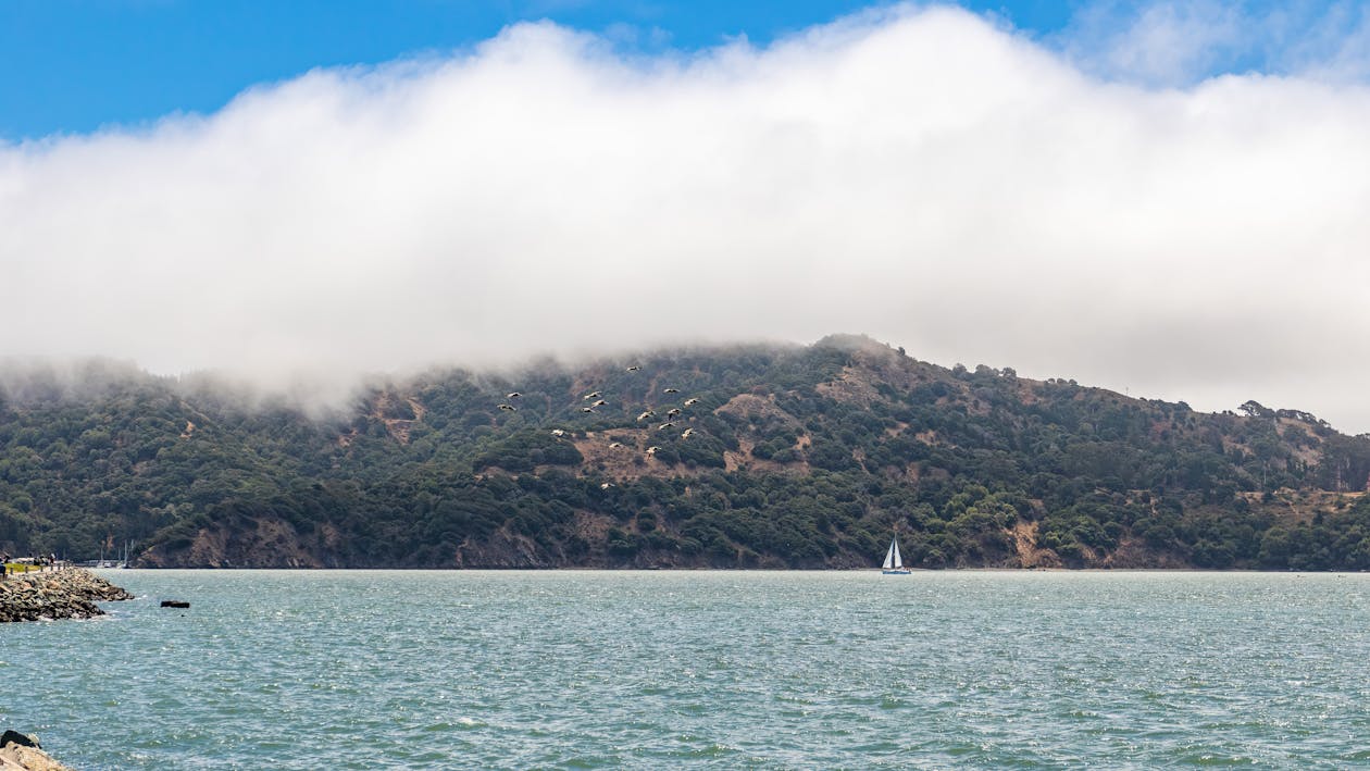 Coast of the Angel Island, San Francisco Bay, California · Free