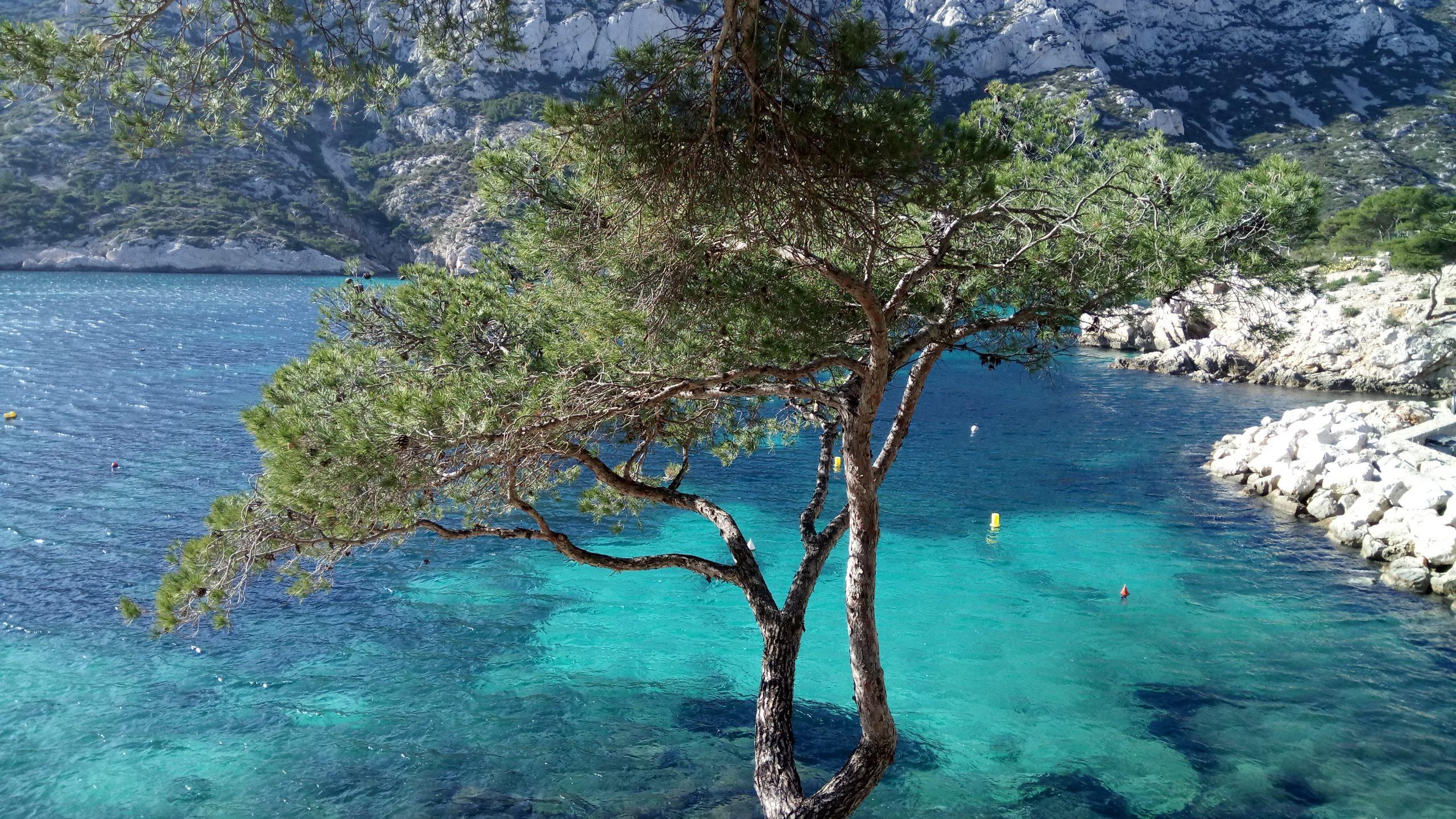 Guest house in Marseille for visiting the Calanques
