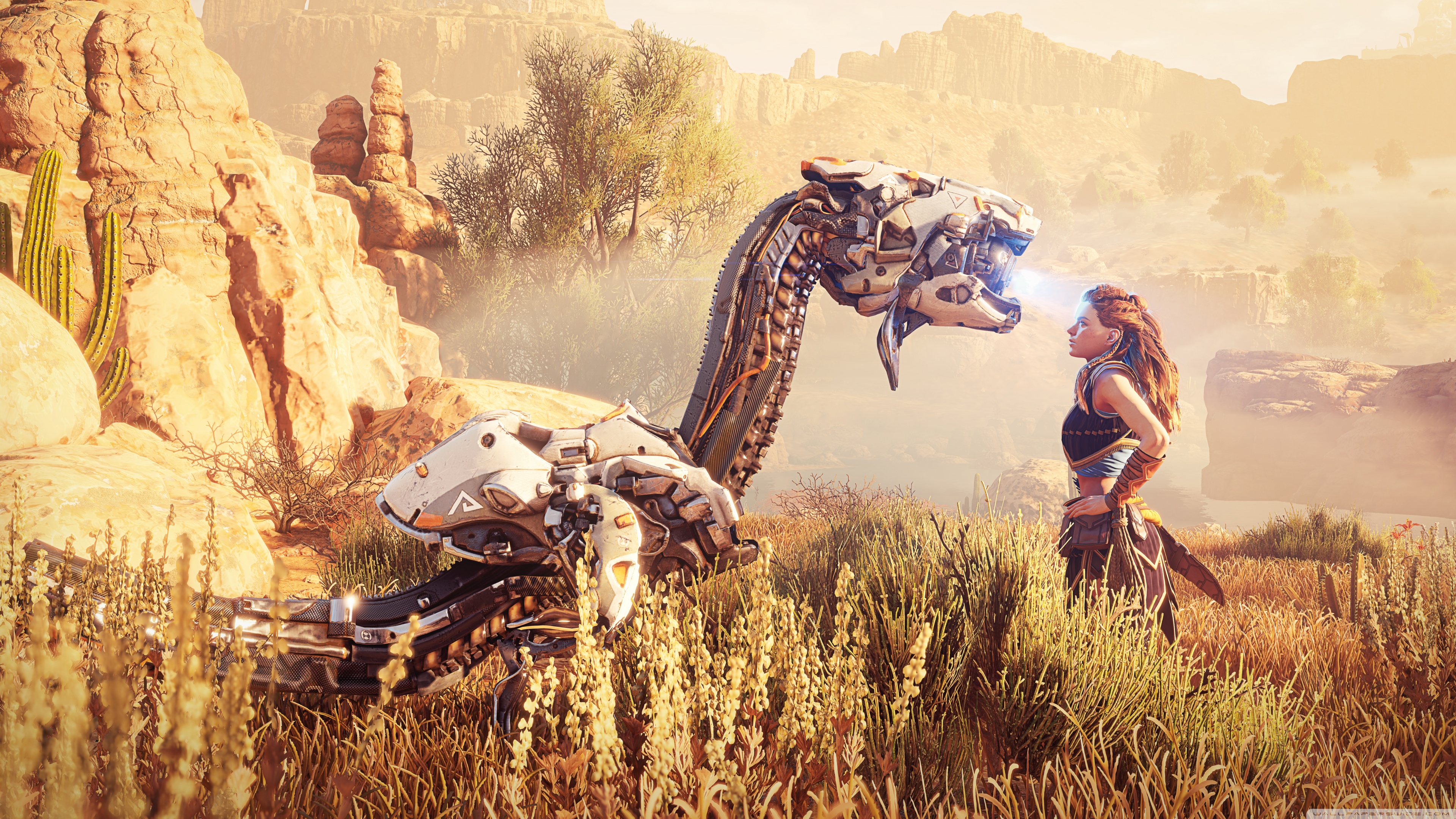 Horizon Zero Dawn Aloy Video Game 4K UHD Wallpaper for UltraHD Desktop and TV, Widescreen and UltraWide Display, Smartphone and Tablet Devices