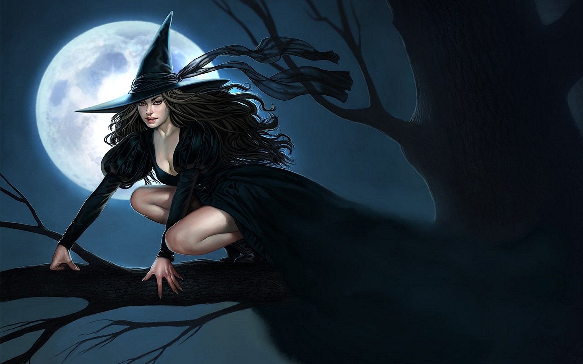Beautiful witch in black on a broom under the moon