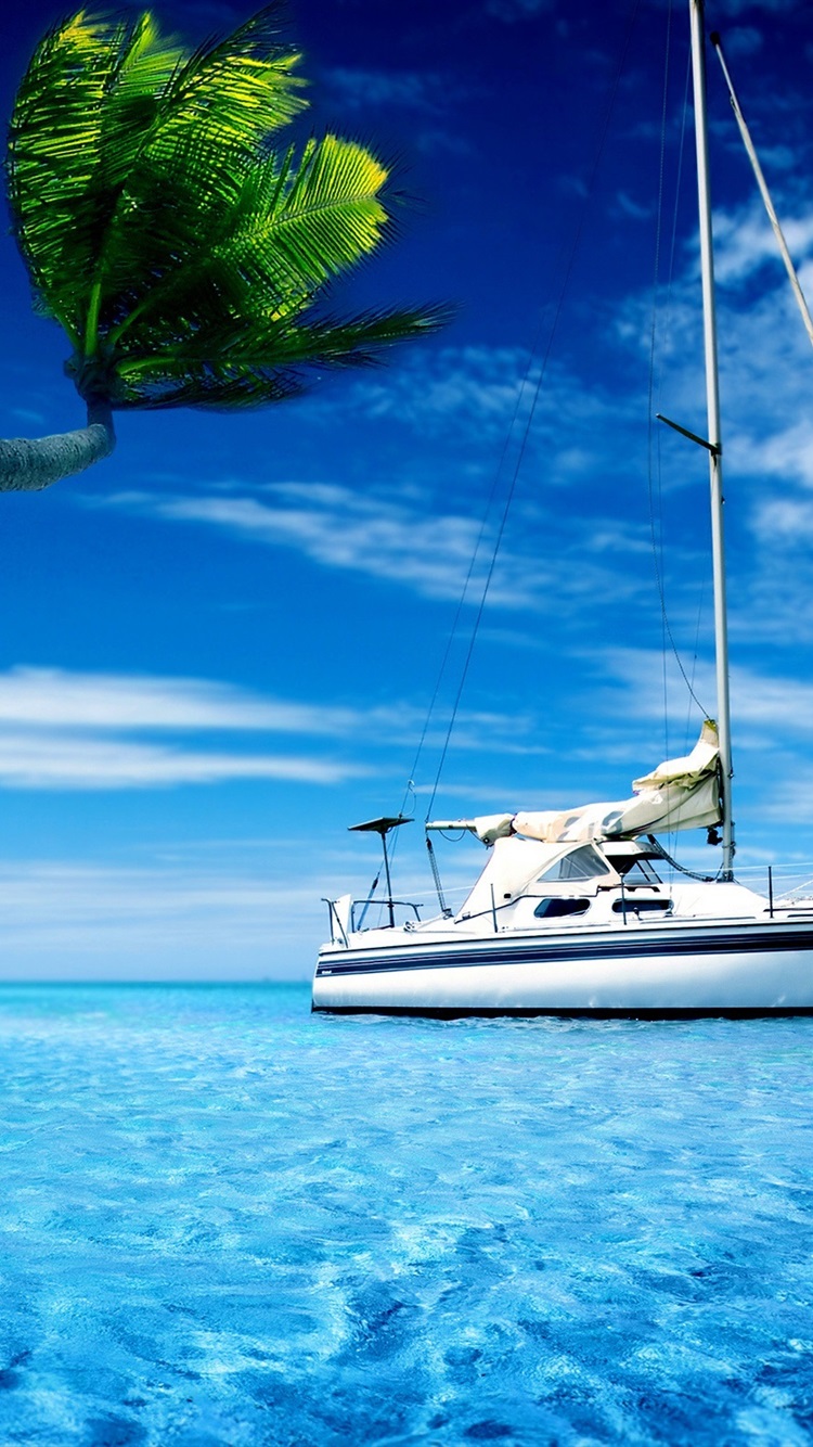 Boat, Sea Water, Palm Tree, Hot Summer Sky 750x1334 IPhone 8 7 6 6S Wallpaper, Background, Picture, Image