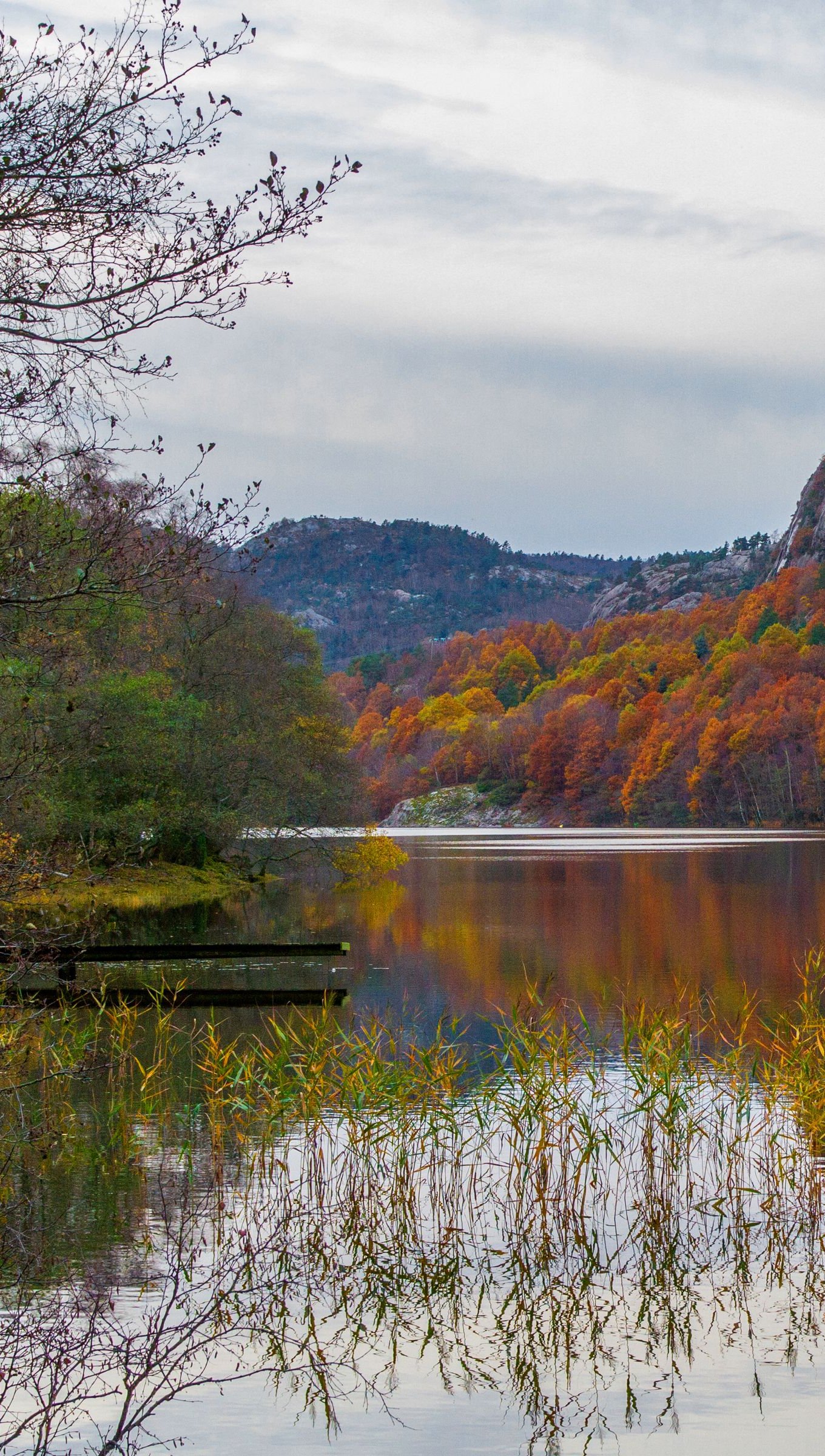 Lake in the forest during autumn Wallpaper 4k for iPhone and Mobile Phone