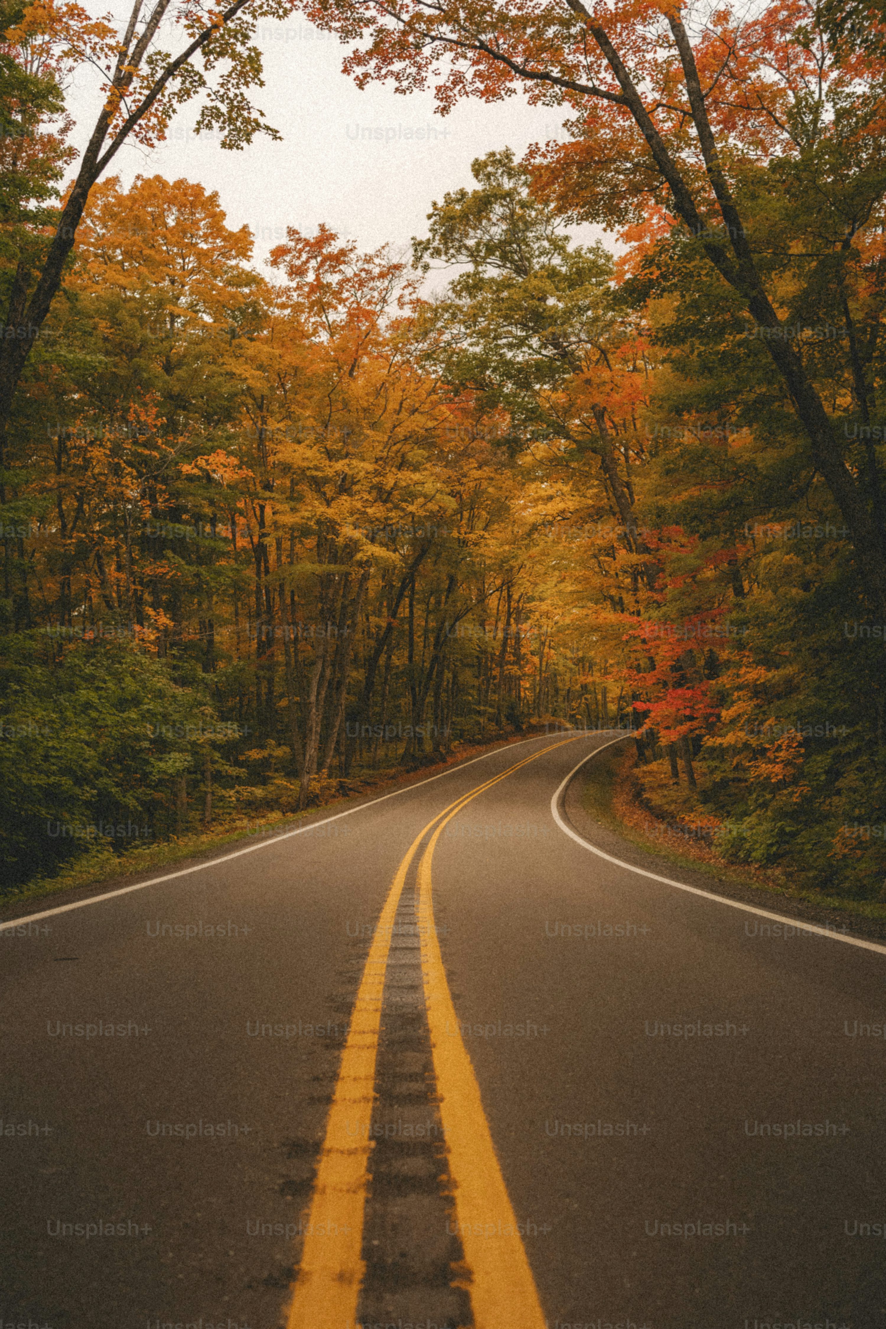 Autumn Road Picture. Download Free Image
