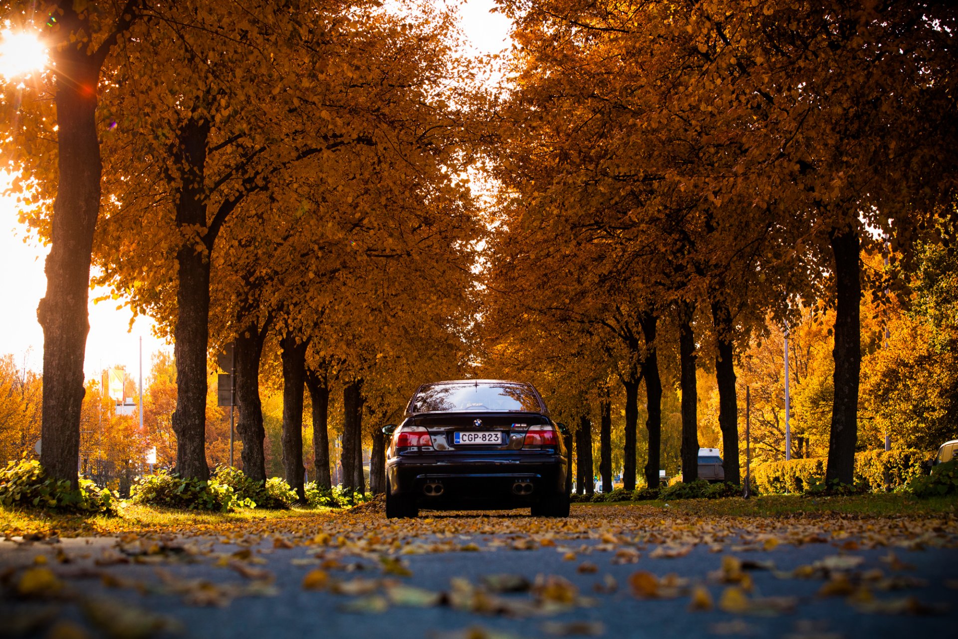 BMW M5 desktop wallpaper on the background of a park in autumn for your phone