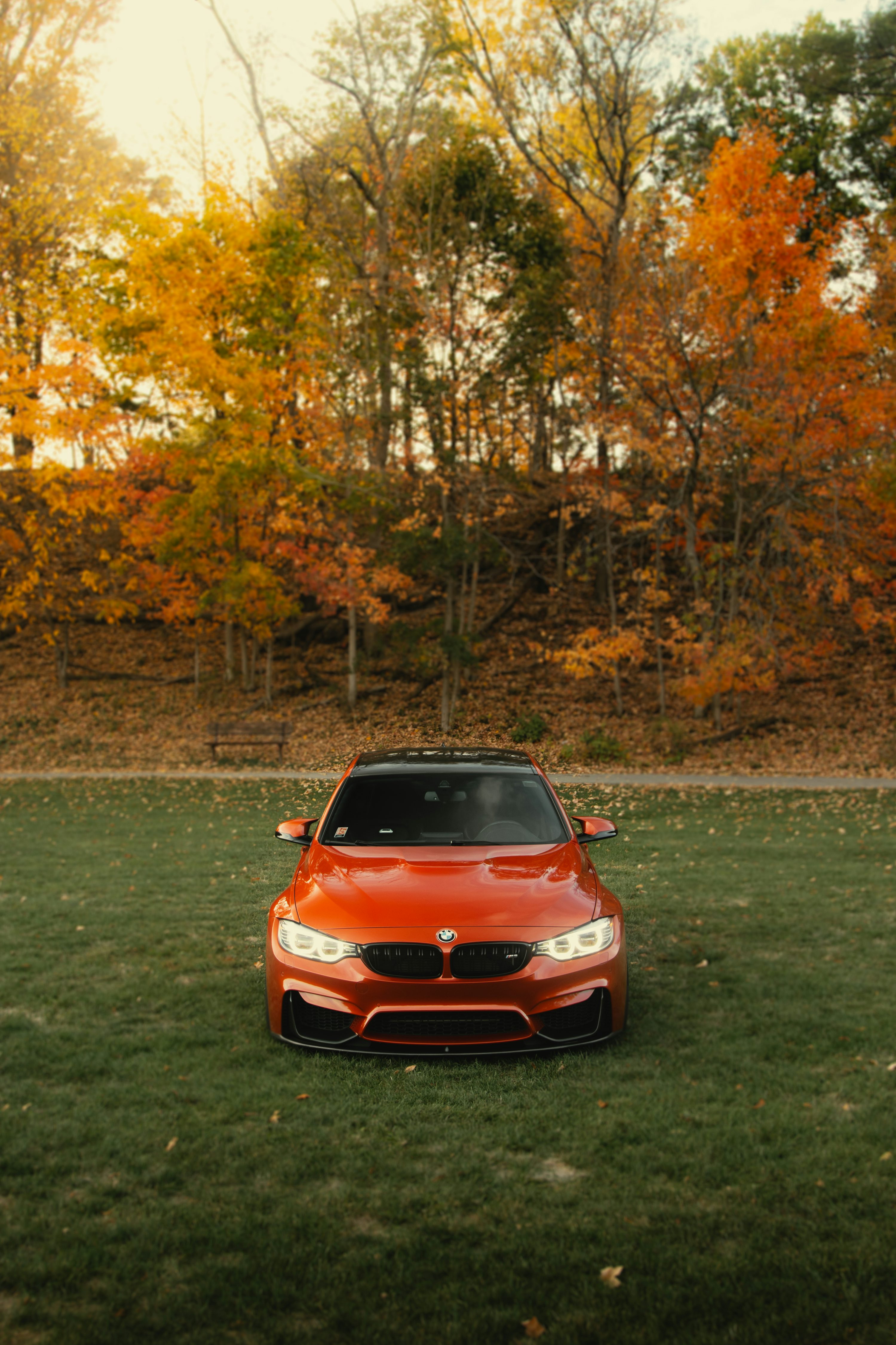 A red car parked on top of a lush green field photo