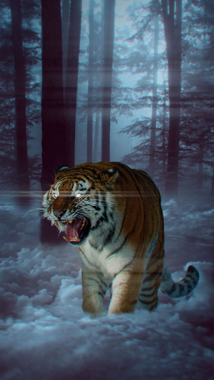 Tiger, grin, photohop, forest, fog wallpaper