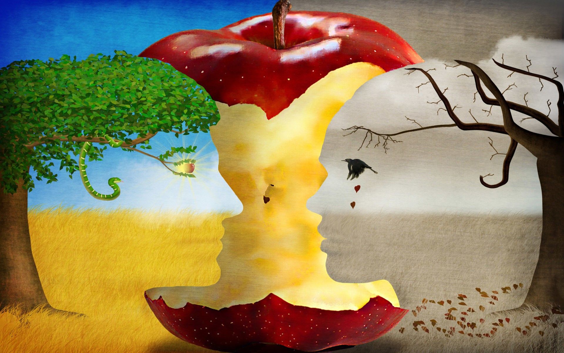 Apple Core Wallpaper, HD Apple Core Background on WallpaperBat