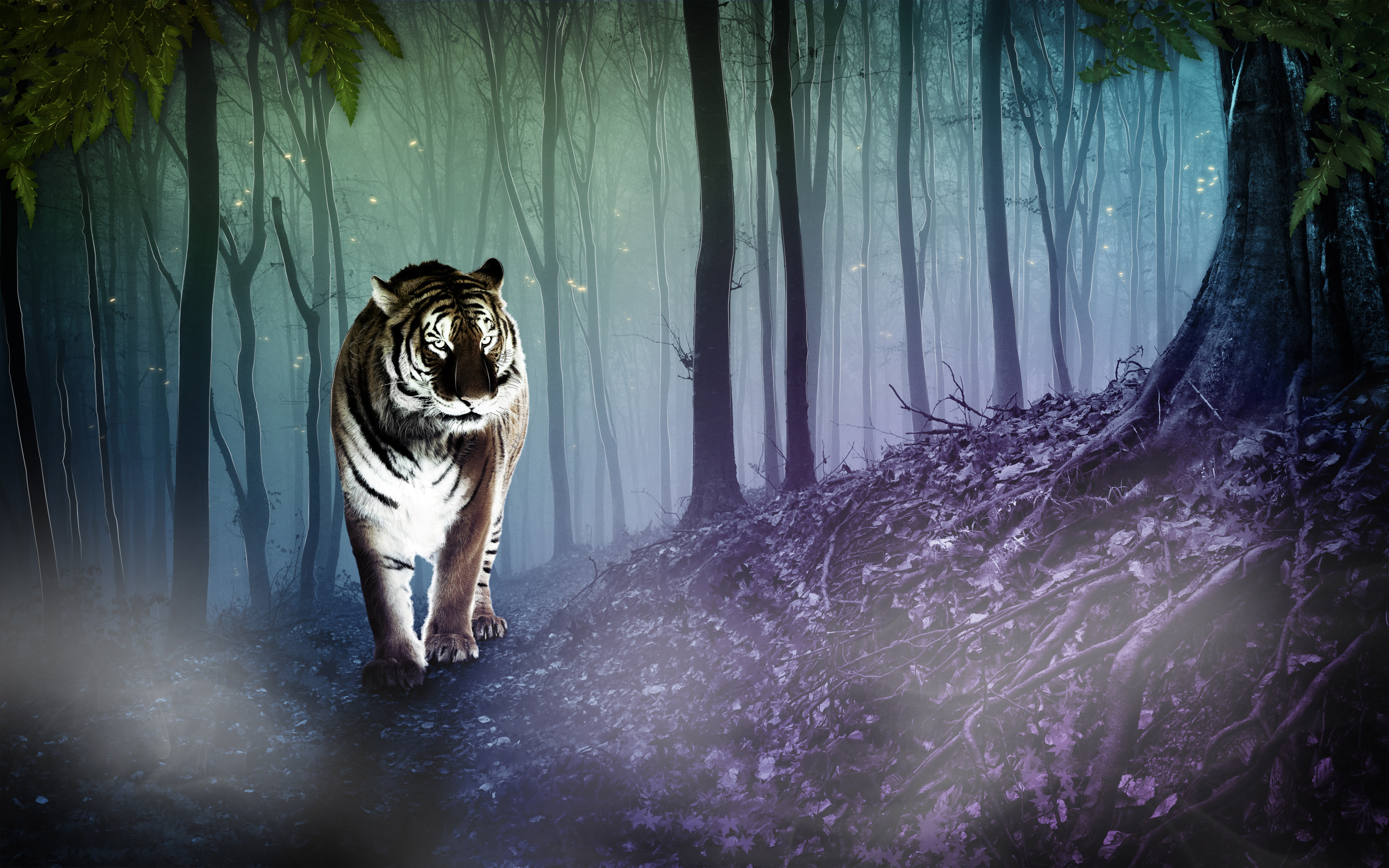 Enchanted Tiger Forest HD Wallpaper