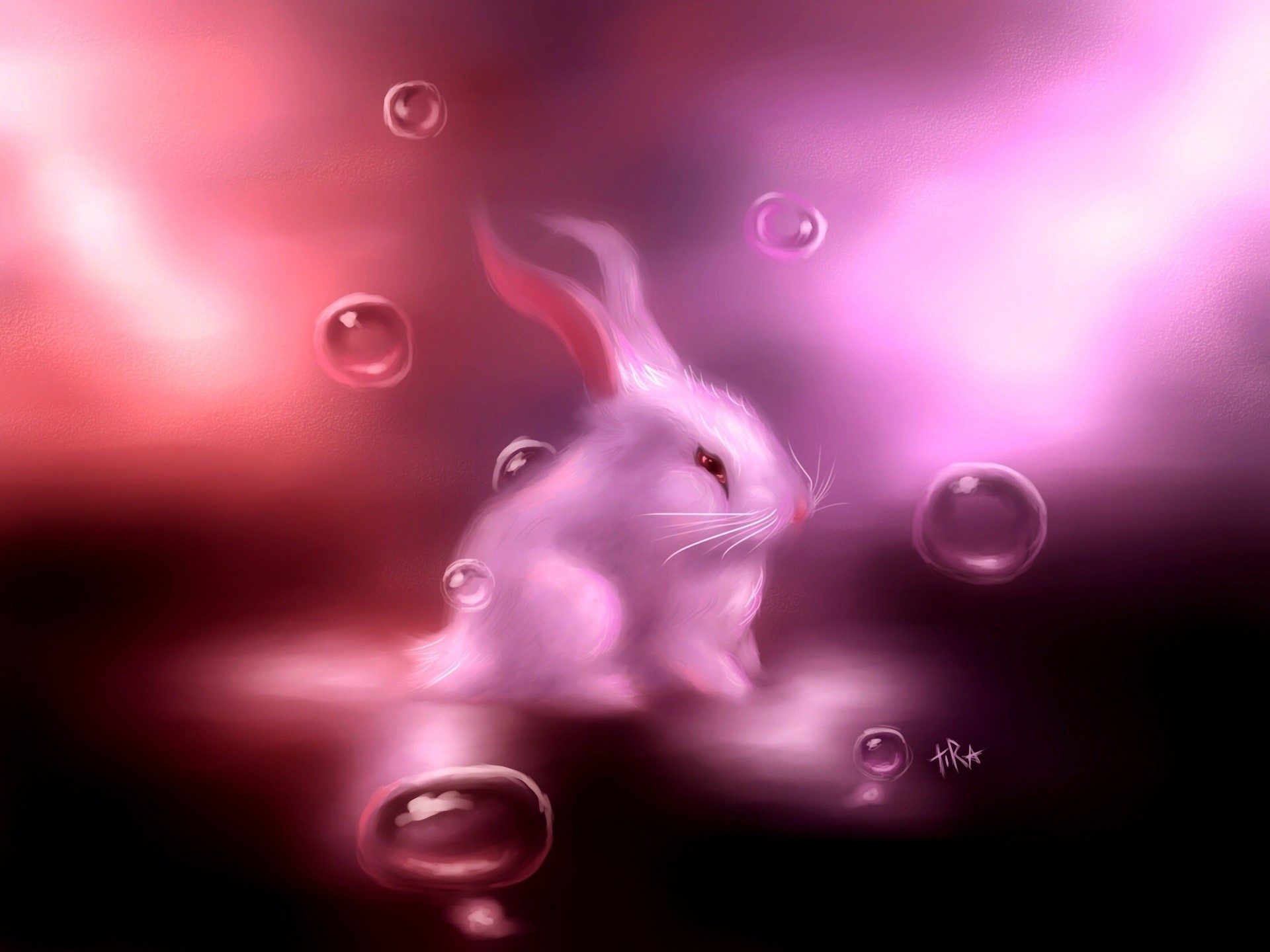 Playboy Bunny Wallpaper