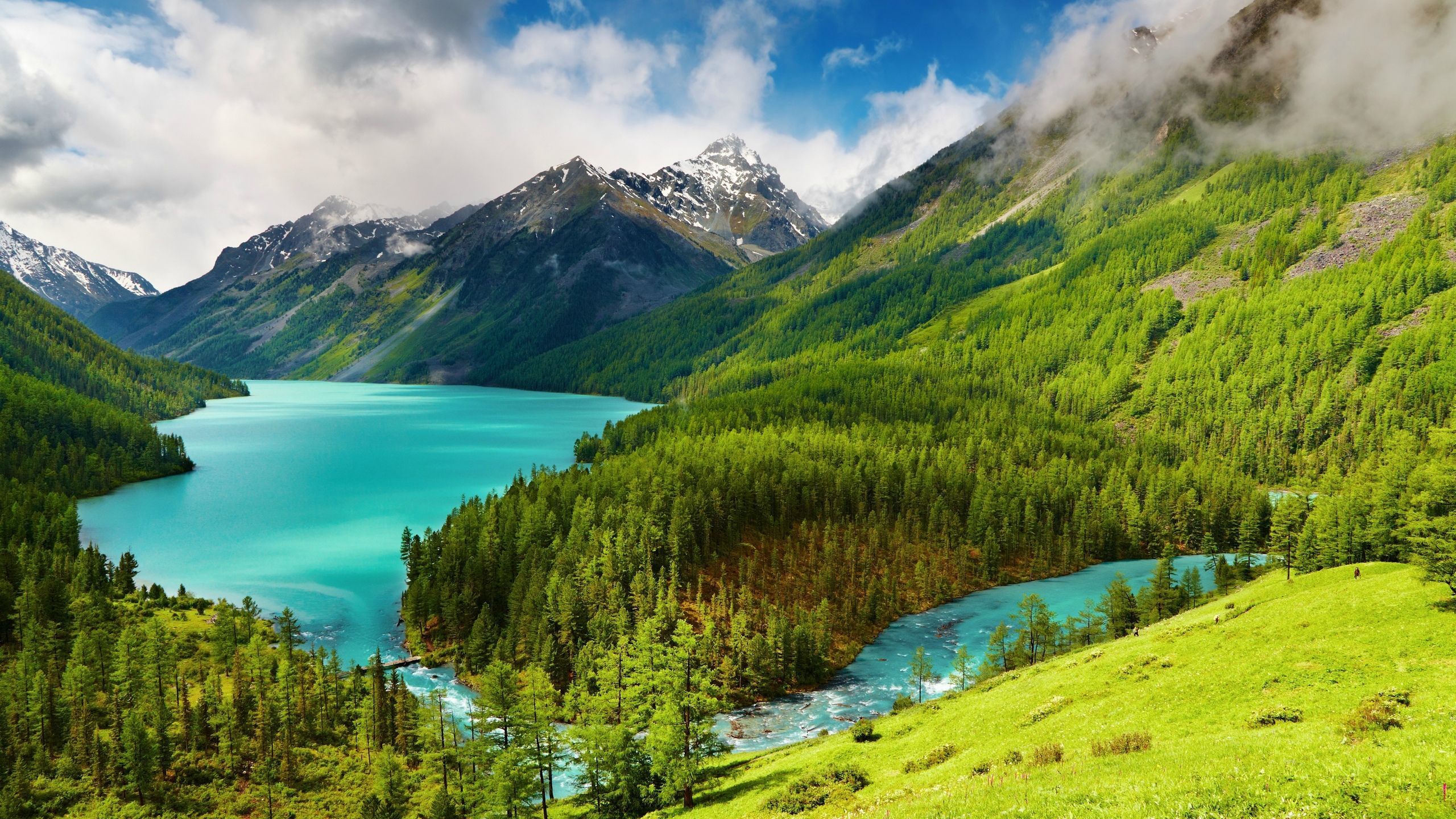High Resolution wallpaper Nature Wallpaper HD