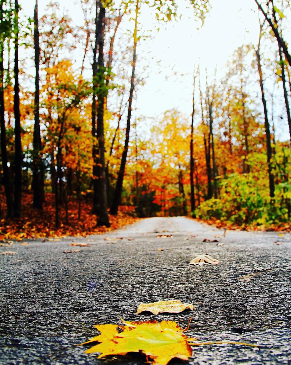 Photo Essay: A Tour in Photo of Branson, Missouri and the Ozarks