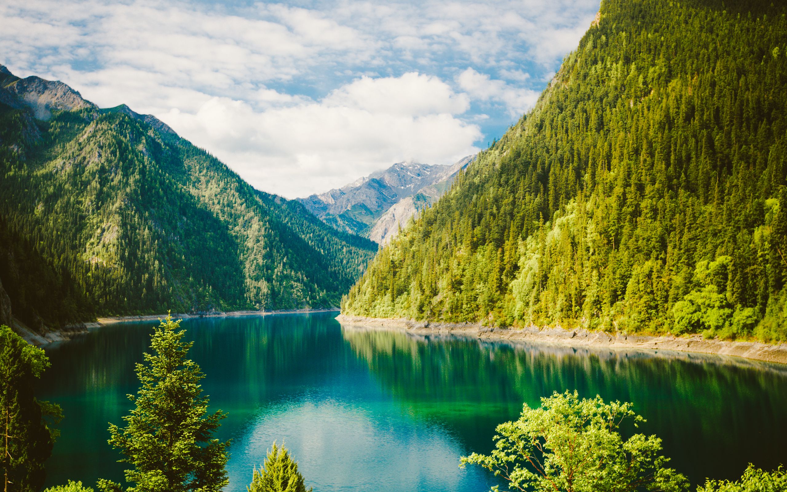 Download wallpaper 2560x1600 nature, lake, forest, mountains widescreen 16:10 HD background