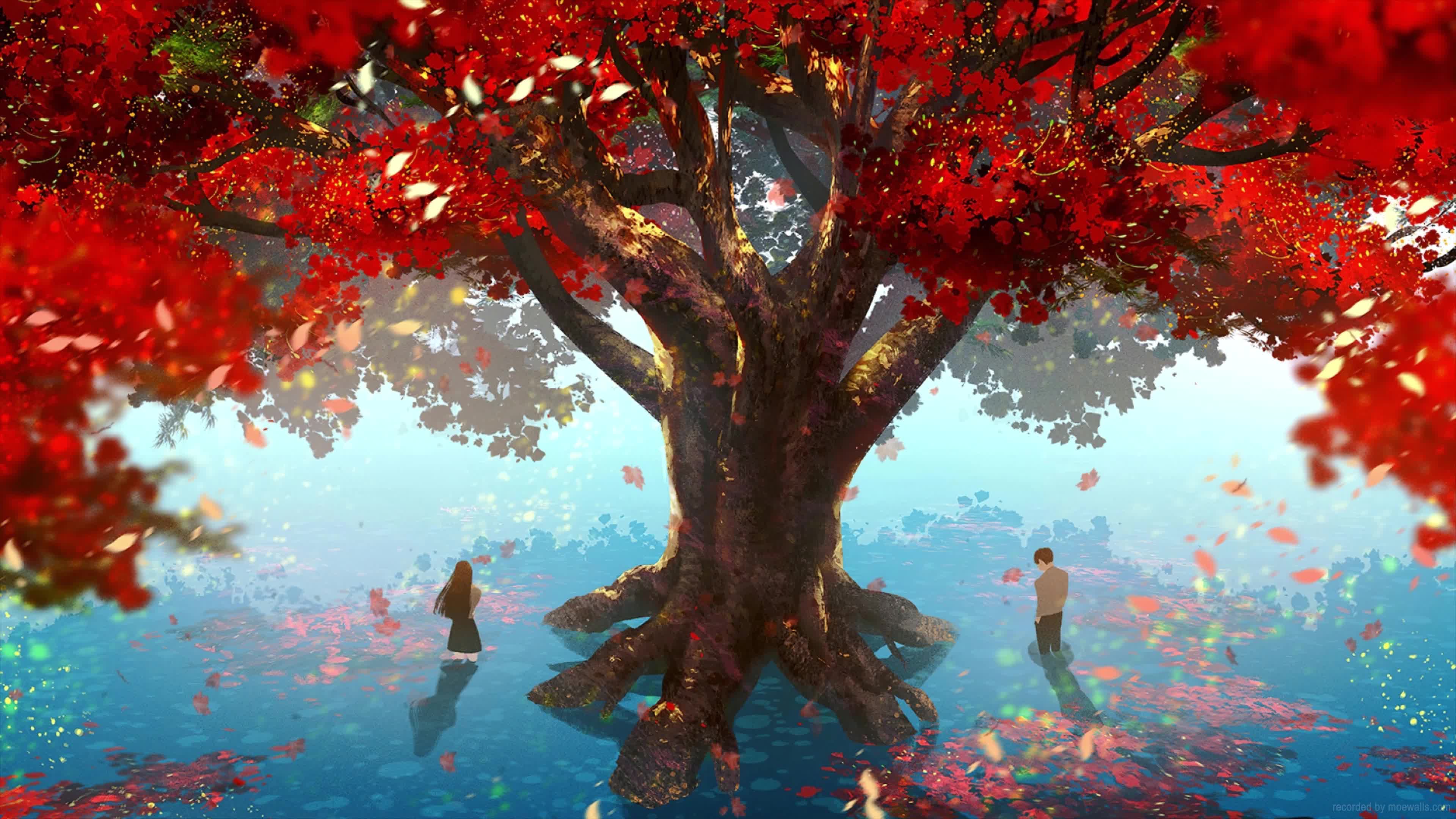 Autumn Live Wallpaper and More