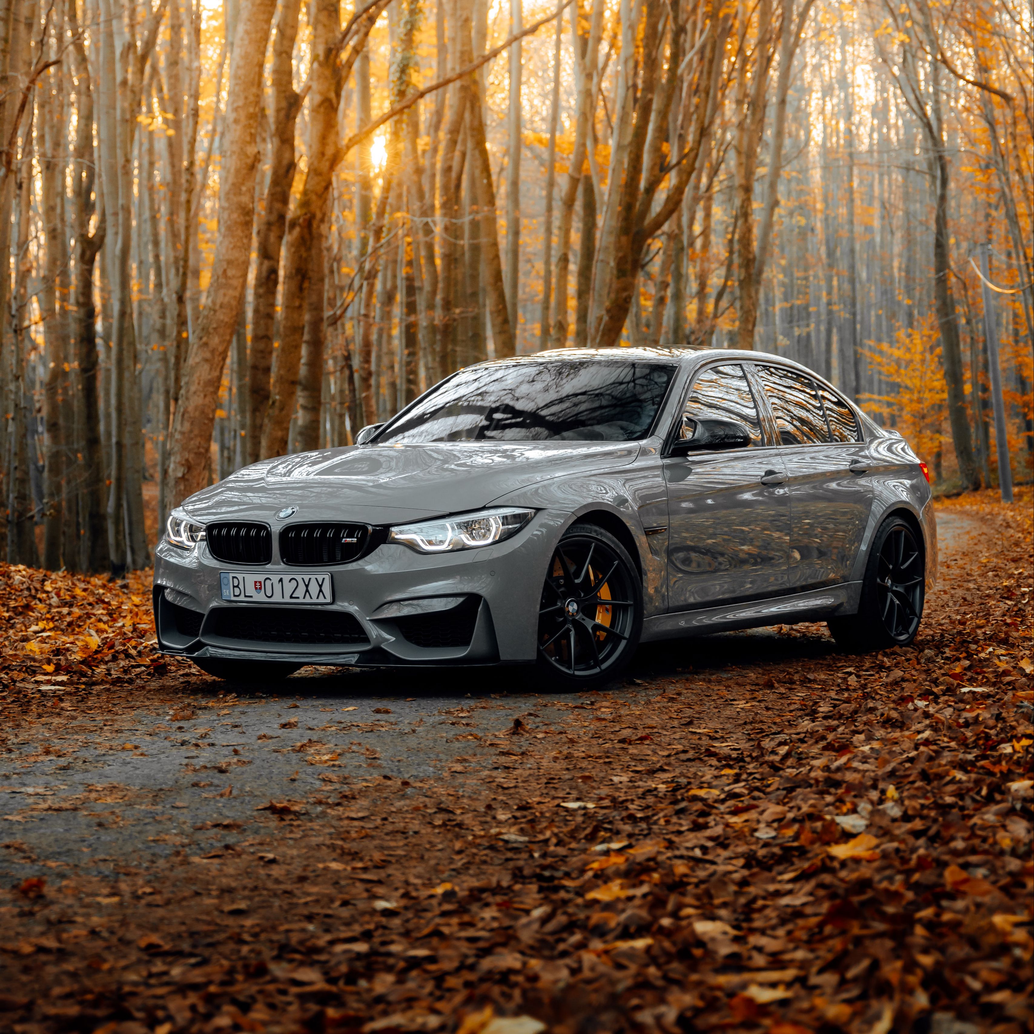 Download wallpaper 3415x3415 bmw m3, bmw, car, gray, side view, forest, autumn ipad pro 12.9 retina for parallax HD background