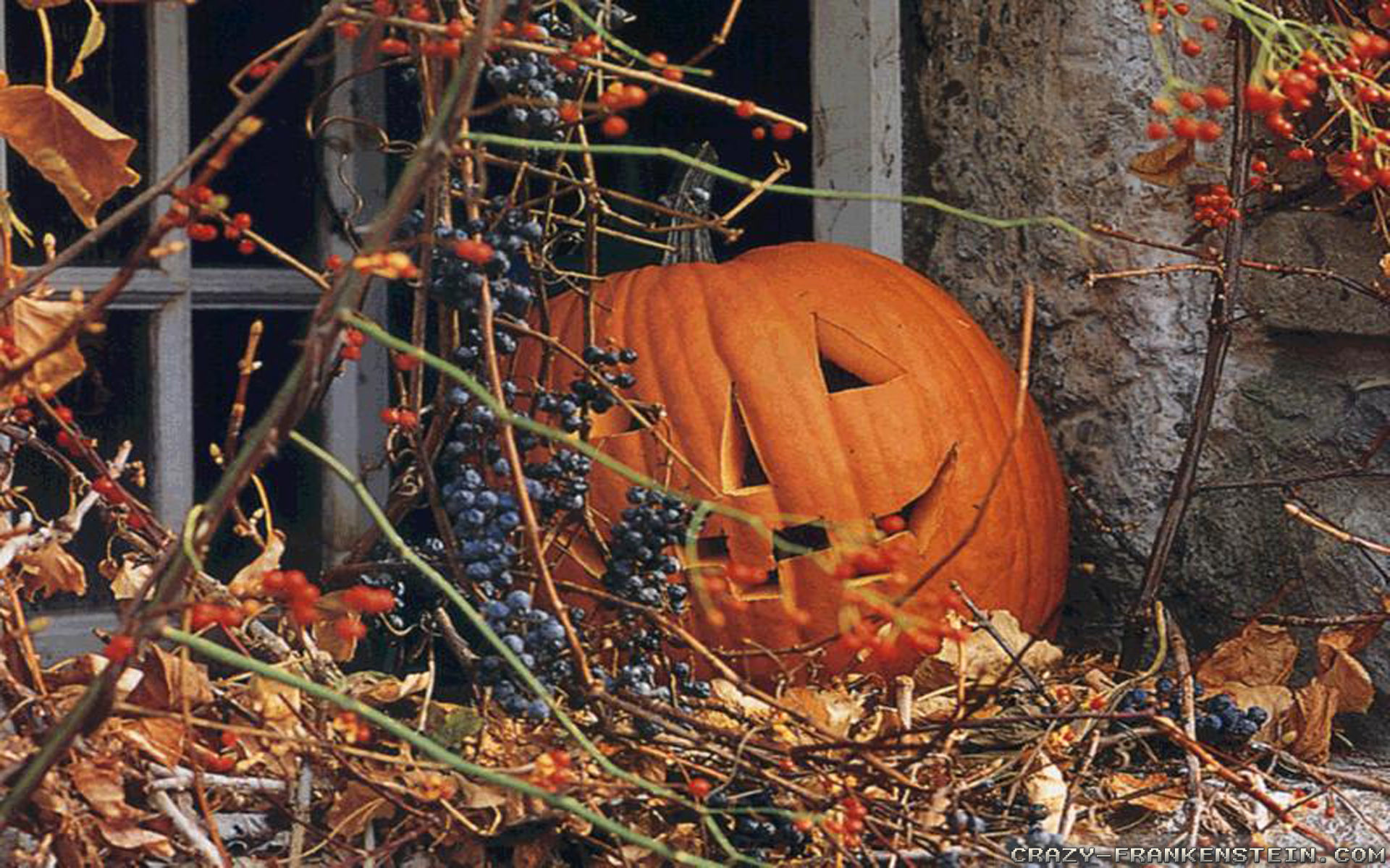 Fall Pumpkin Wallpaper