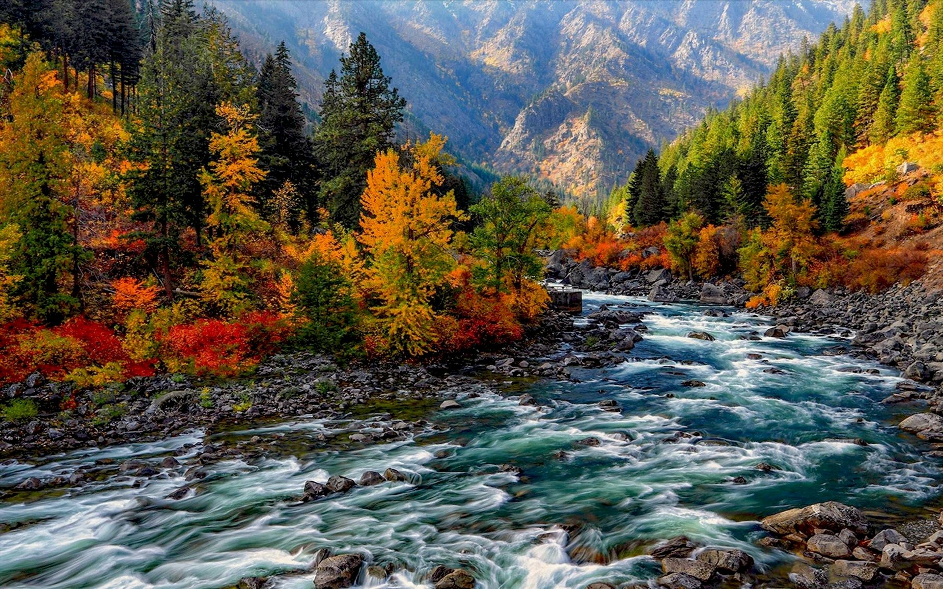 Autumn Serenity: Mountain River and Forest in Full Fall Glory