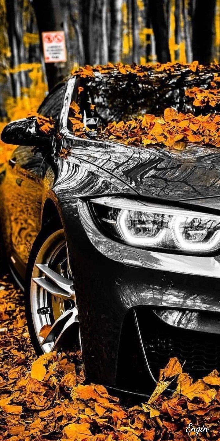 BMW lovers. Bmw, Car wallpaper, Luxury car photo