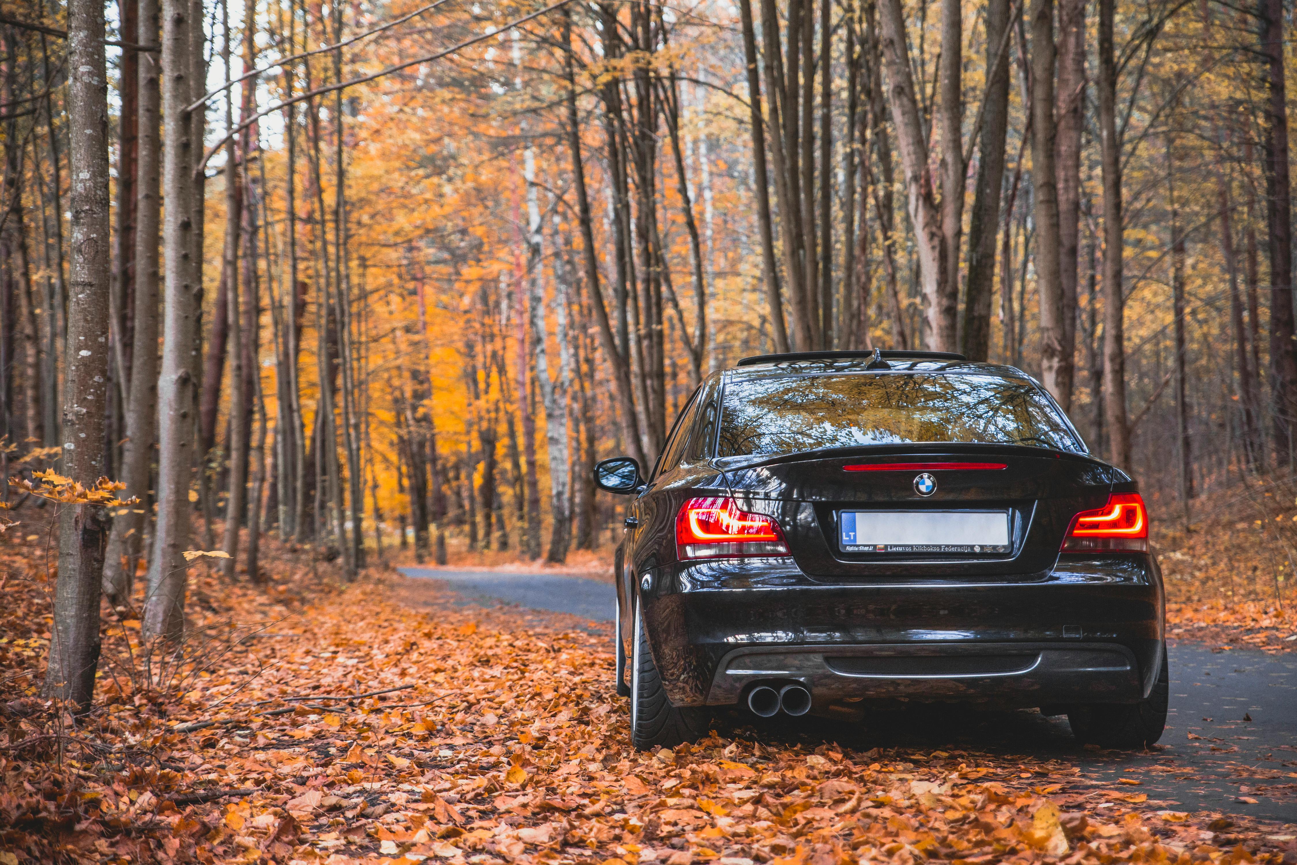 Black Car on Road With Fallen Leaves · Free