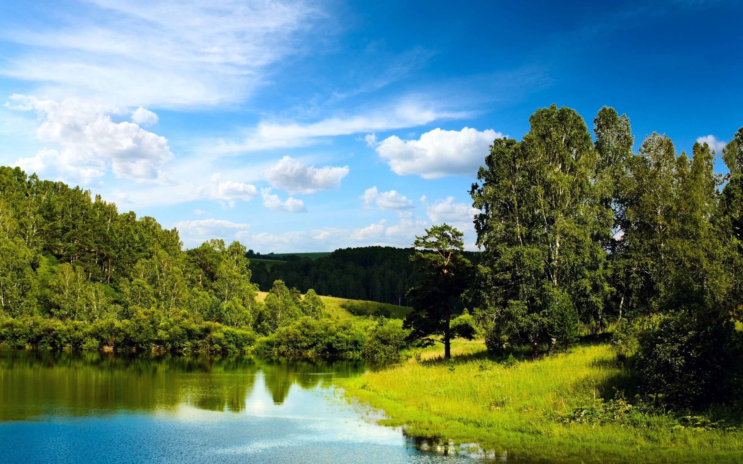 Wallpaper Beautiful summer, green trees and grass, lake, blue sky, clouds 2560x1600 Picture, Image