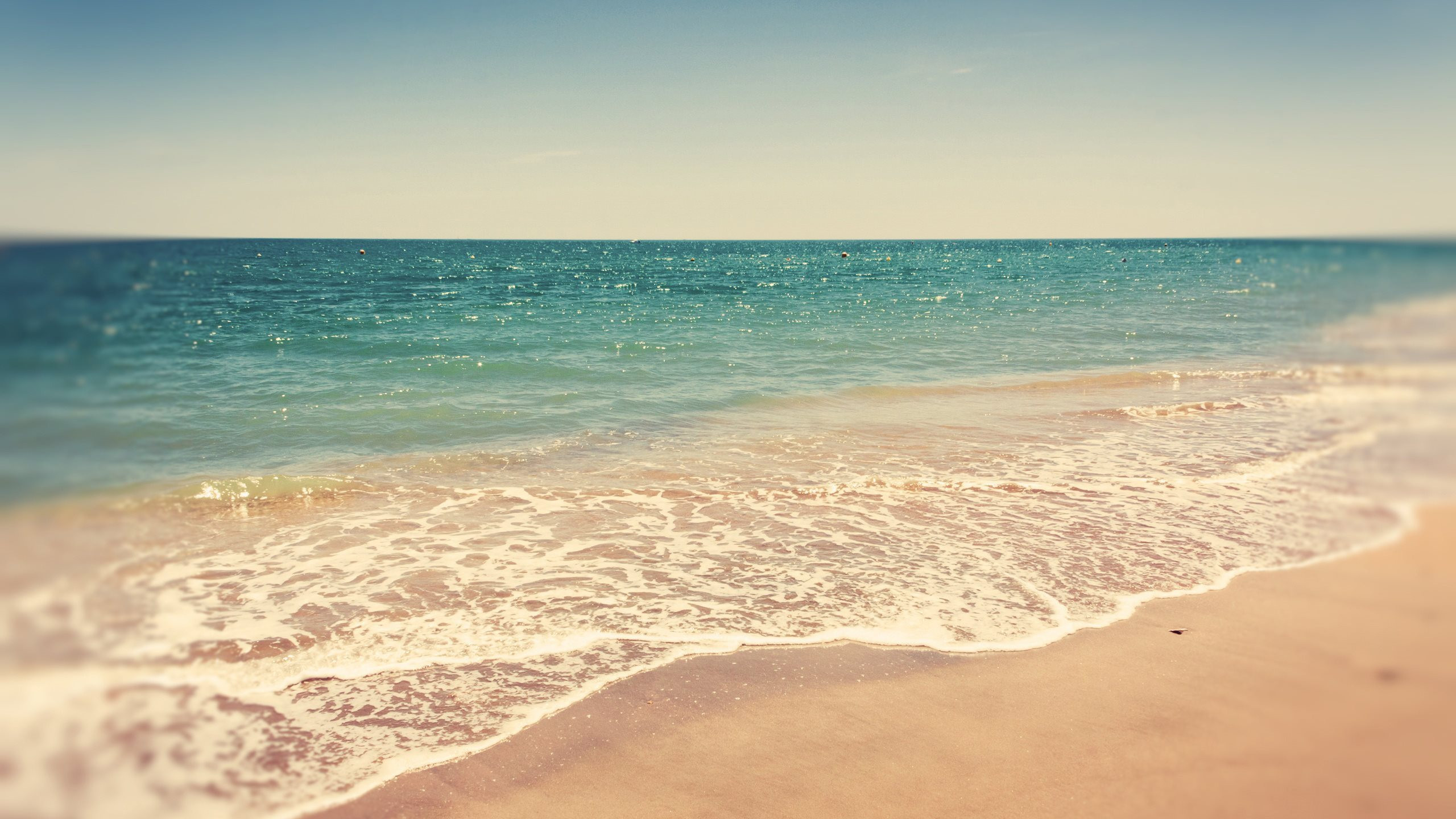 Summer Beach Wallpaper 2560x1600 56352