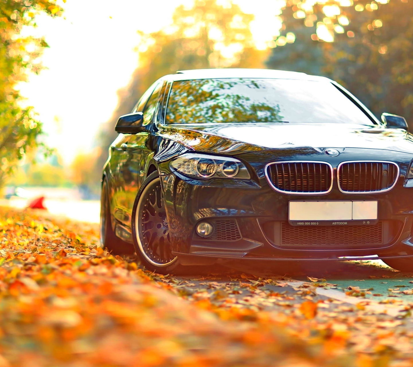 BMW a Beautiful Car Wallpaper Autumn Leaves With Car HD BMW Wallpaper. SidRehmani. Sid Rehmani. Land Of HD Wallpaper