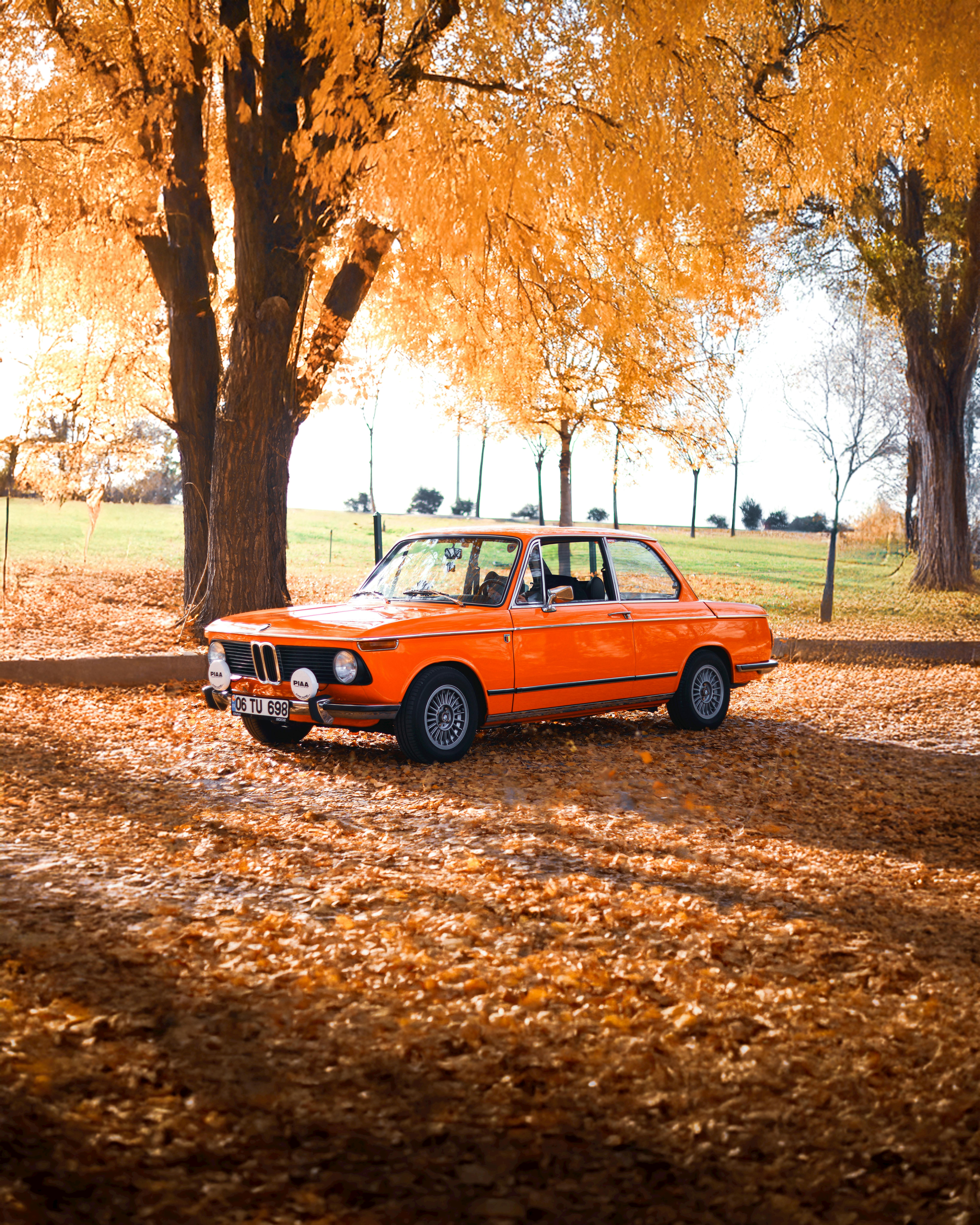 Classic Orange BMW in Vibrant Autumn Scenery · Free