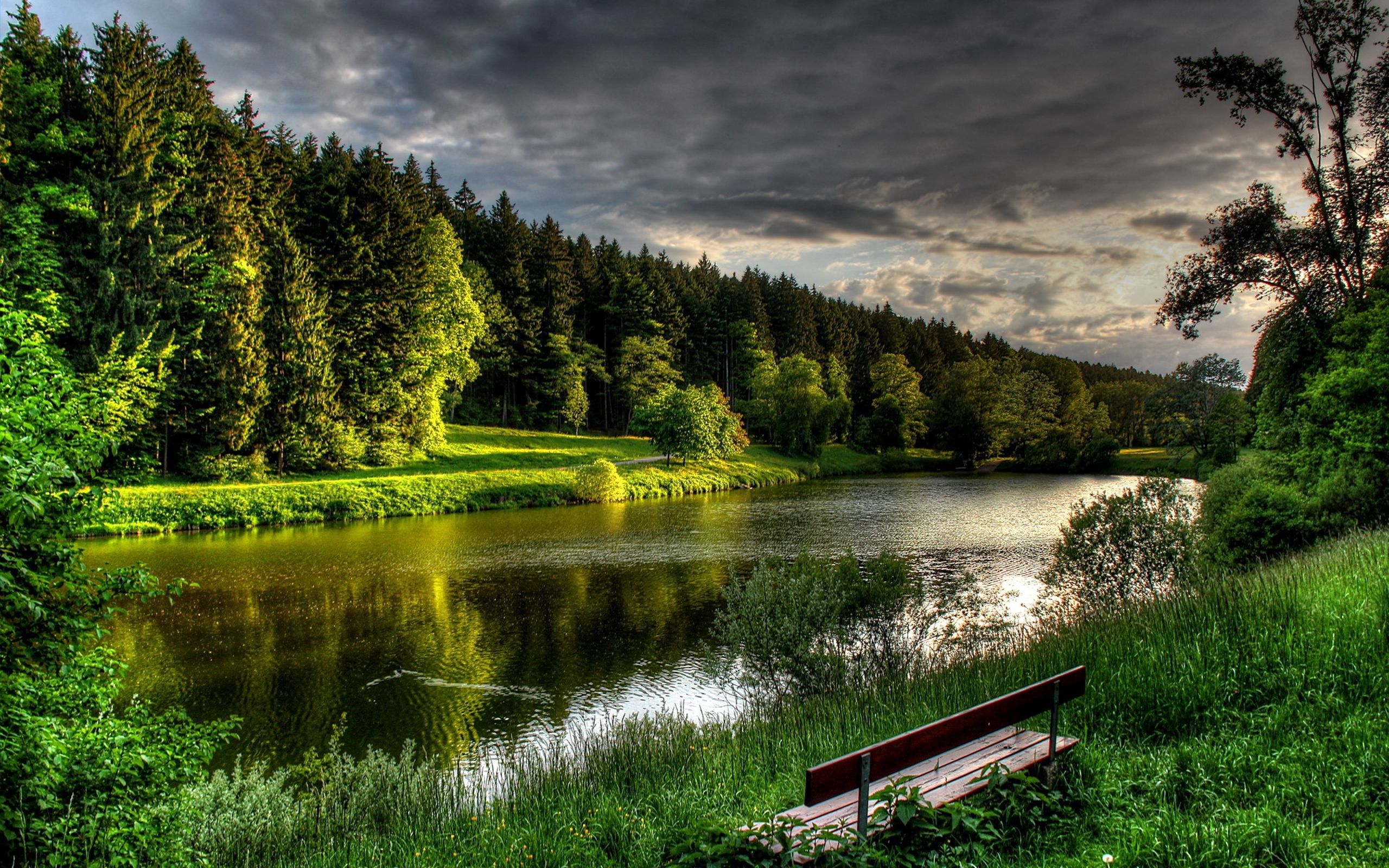 Download wallpaper 2560x1600 river, coast, grass, bench, summer, beautiful, calm HD background