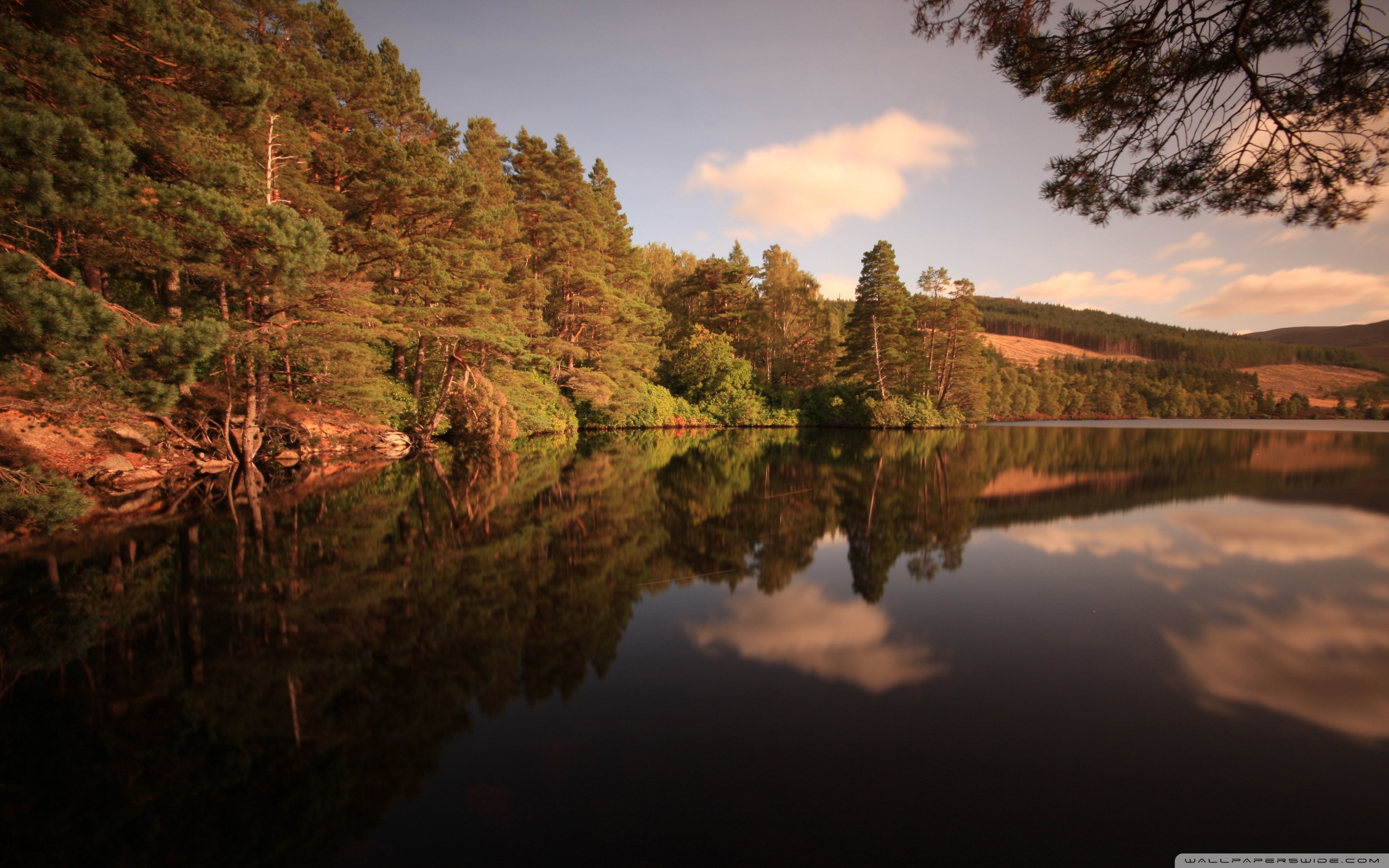 Forest Lake, Late Summer 4K UHD Wallpaper for UltraHD Desktop and TV, Dual Monitor, Smartphone and Tablet Devices