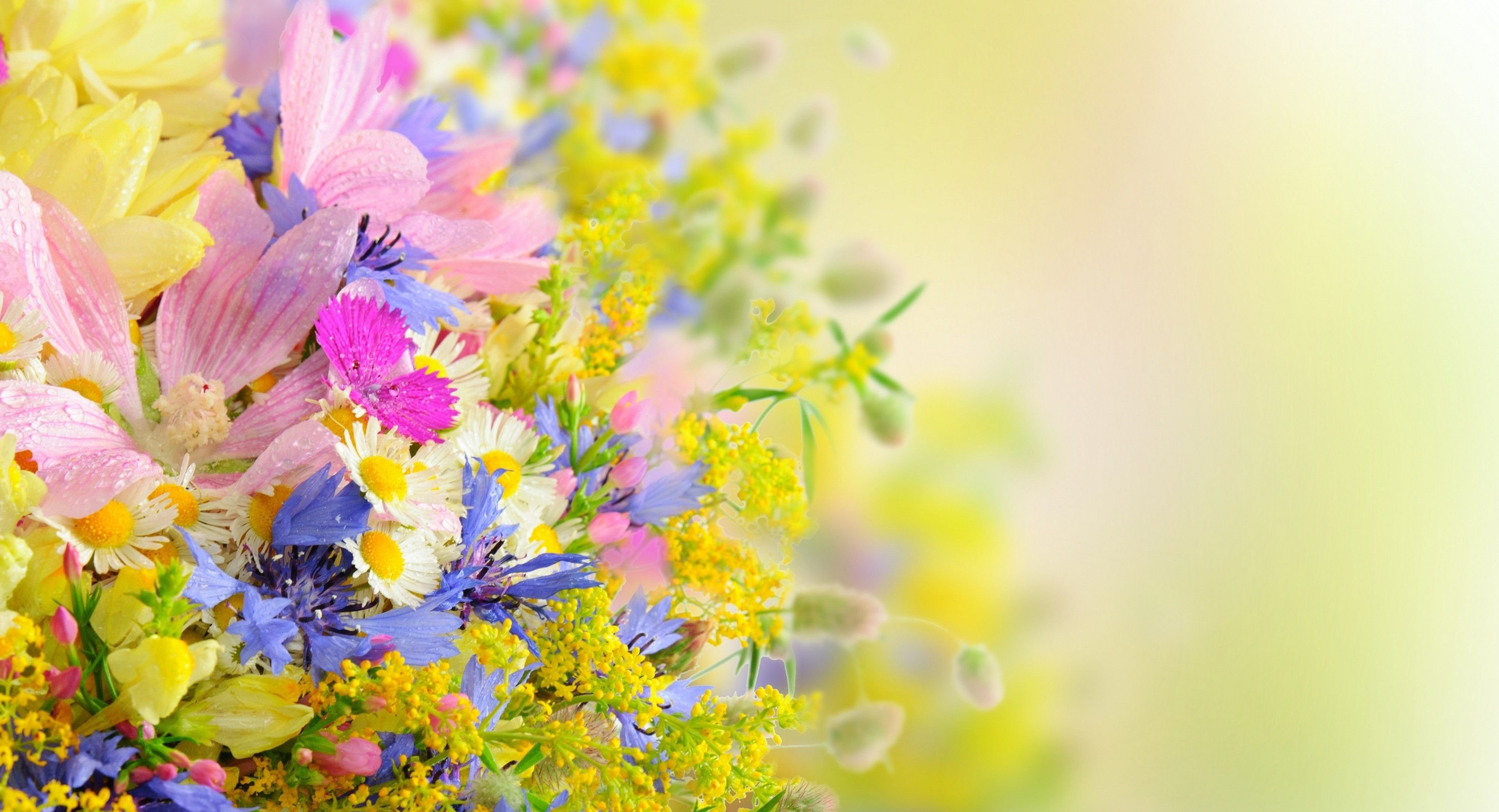 Bouquet of colorful bright summer flowers on a blurred background Desktop wallpaper 1024x768