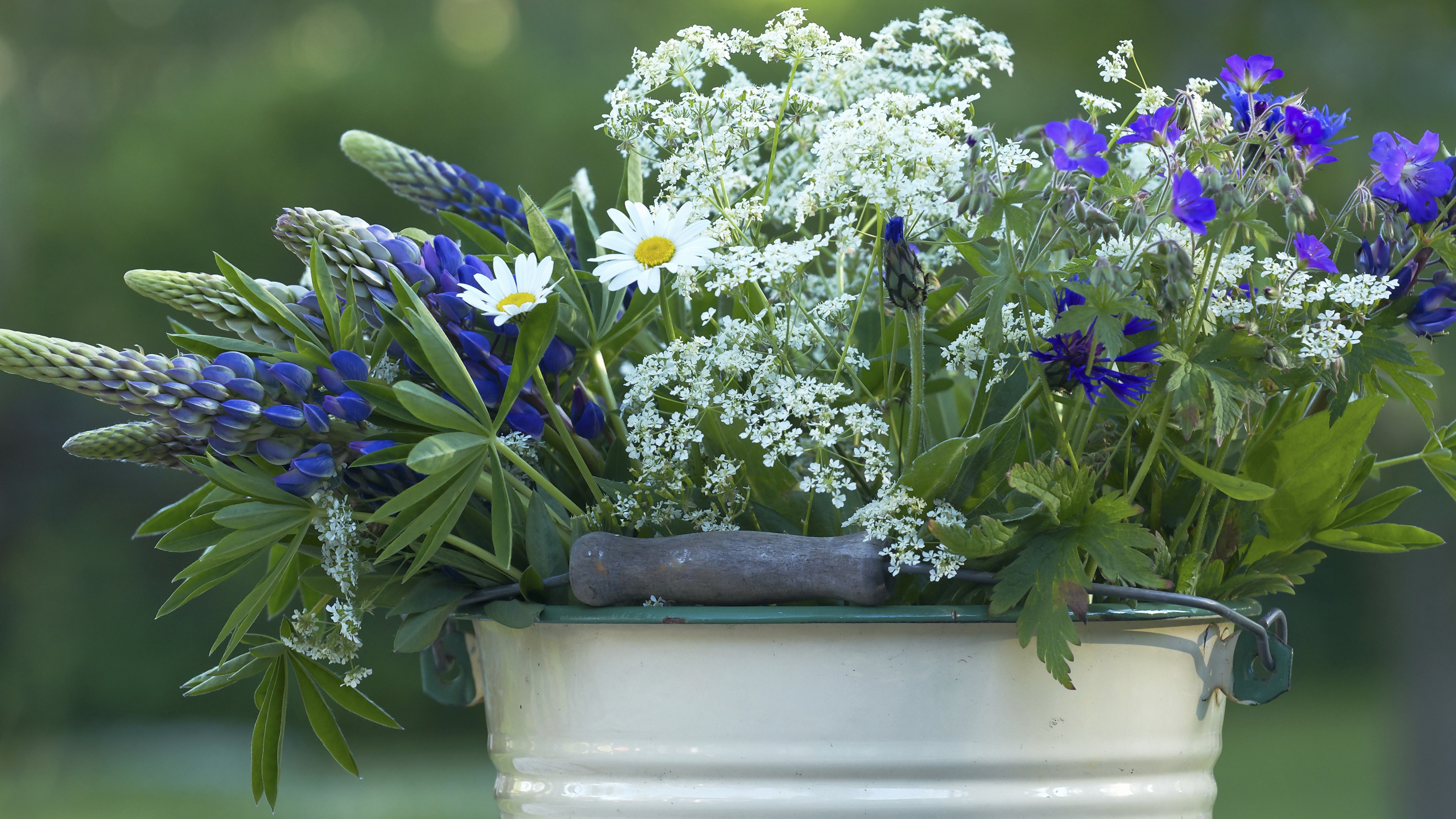 Wallpaper Summer flowers, bucket 3840x2160 UHD 4K Picture, Image