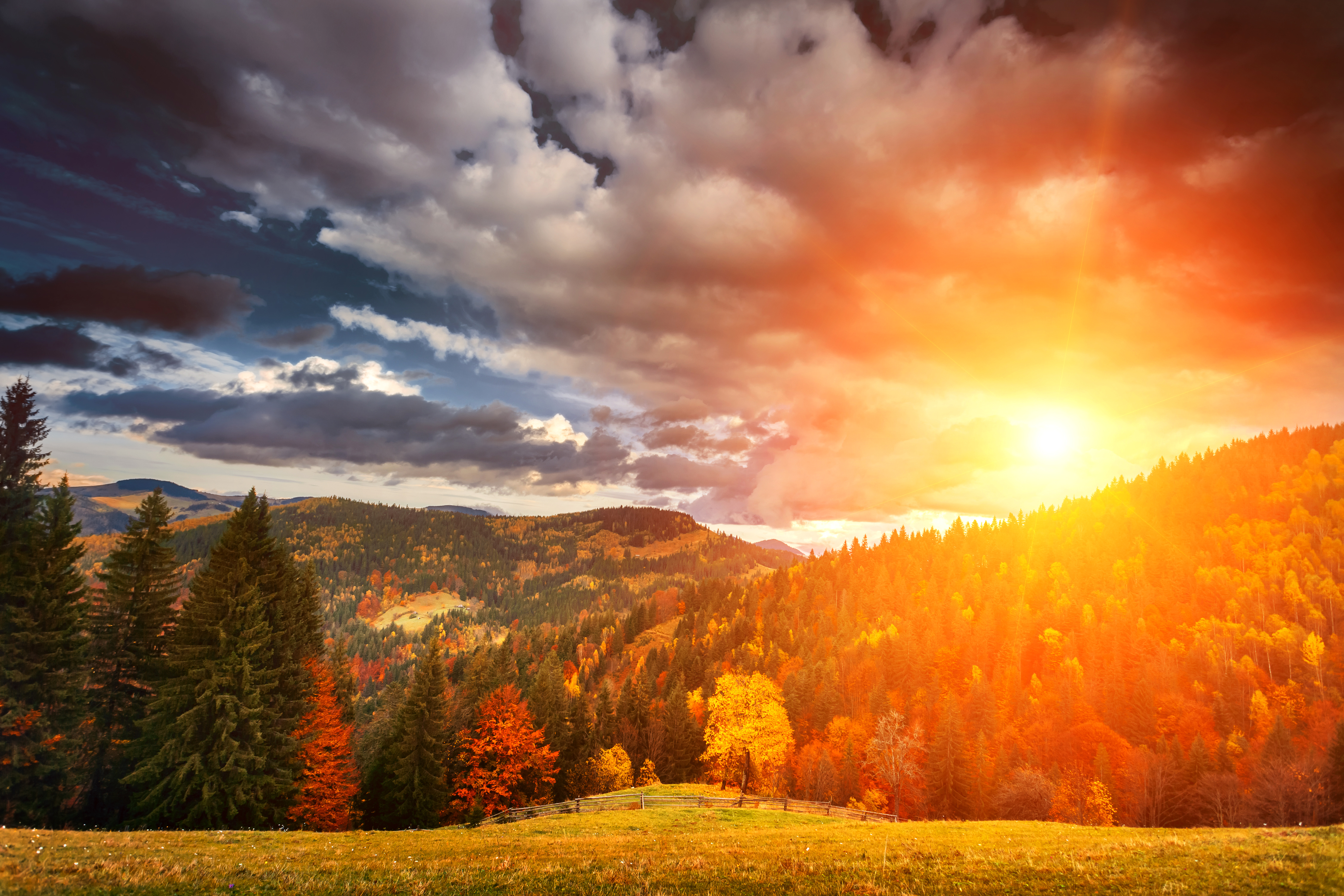 Image Autumn Nature Forests Scenery sunrise and sunset 4500x3000