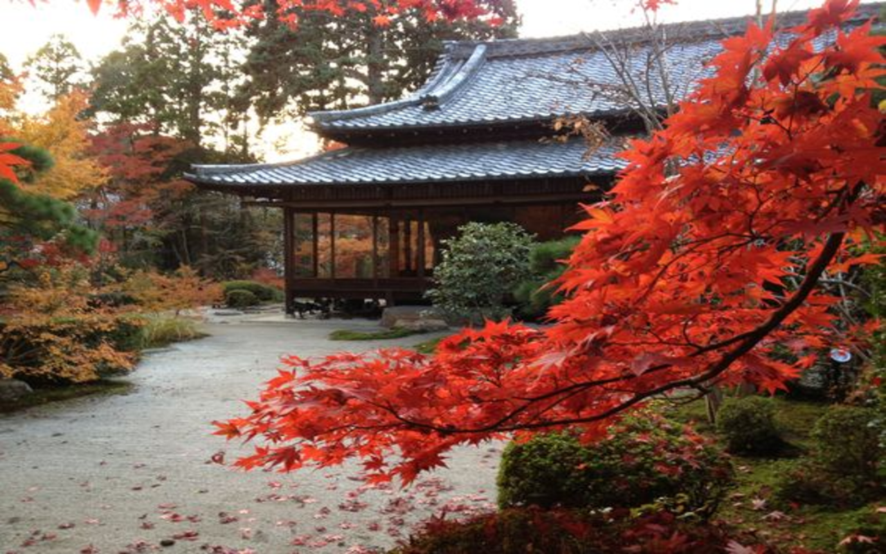 japanese autumn wallpaper Web Store