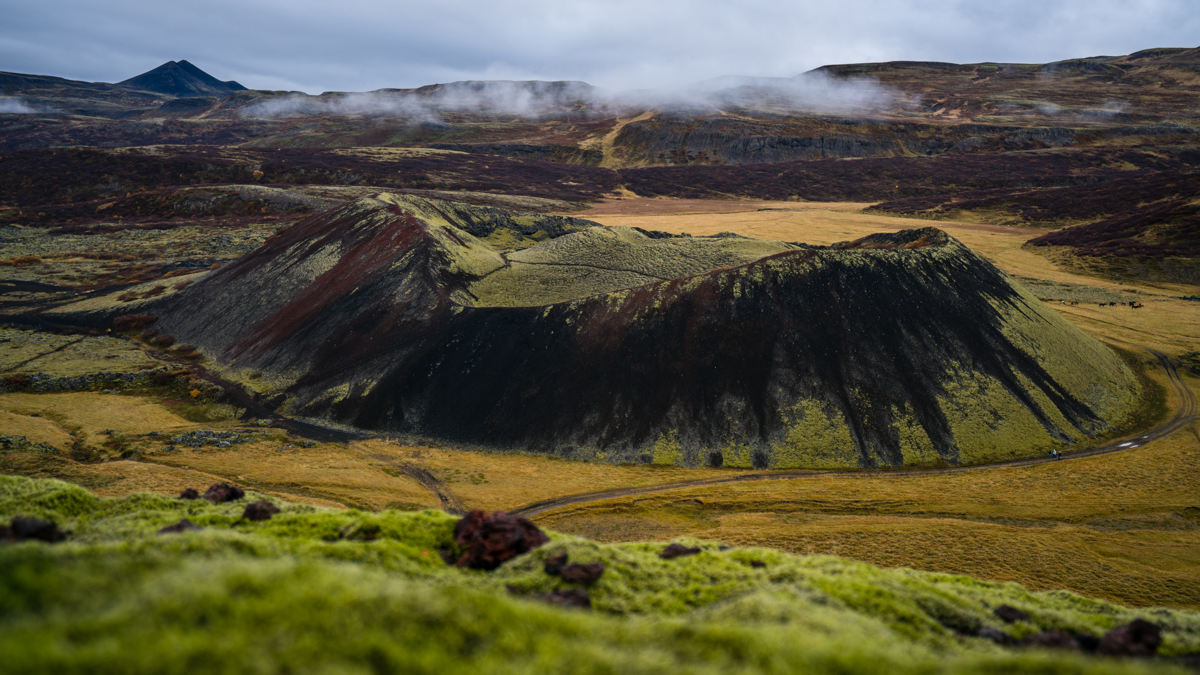 Chasing Iceland Autumn Colors in Akureyri. Jeff Bartlett Media