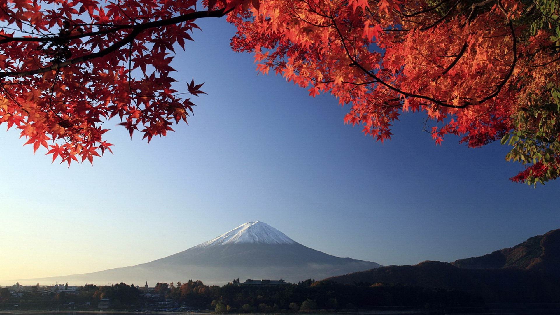 Autumn Mount Fuji Japan